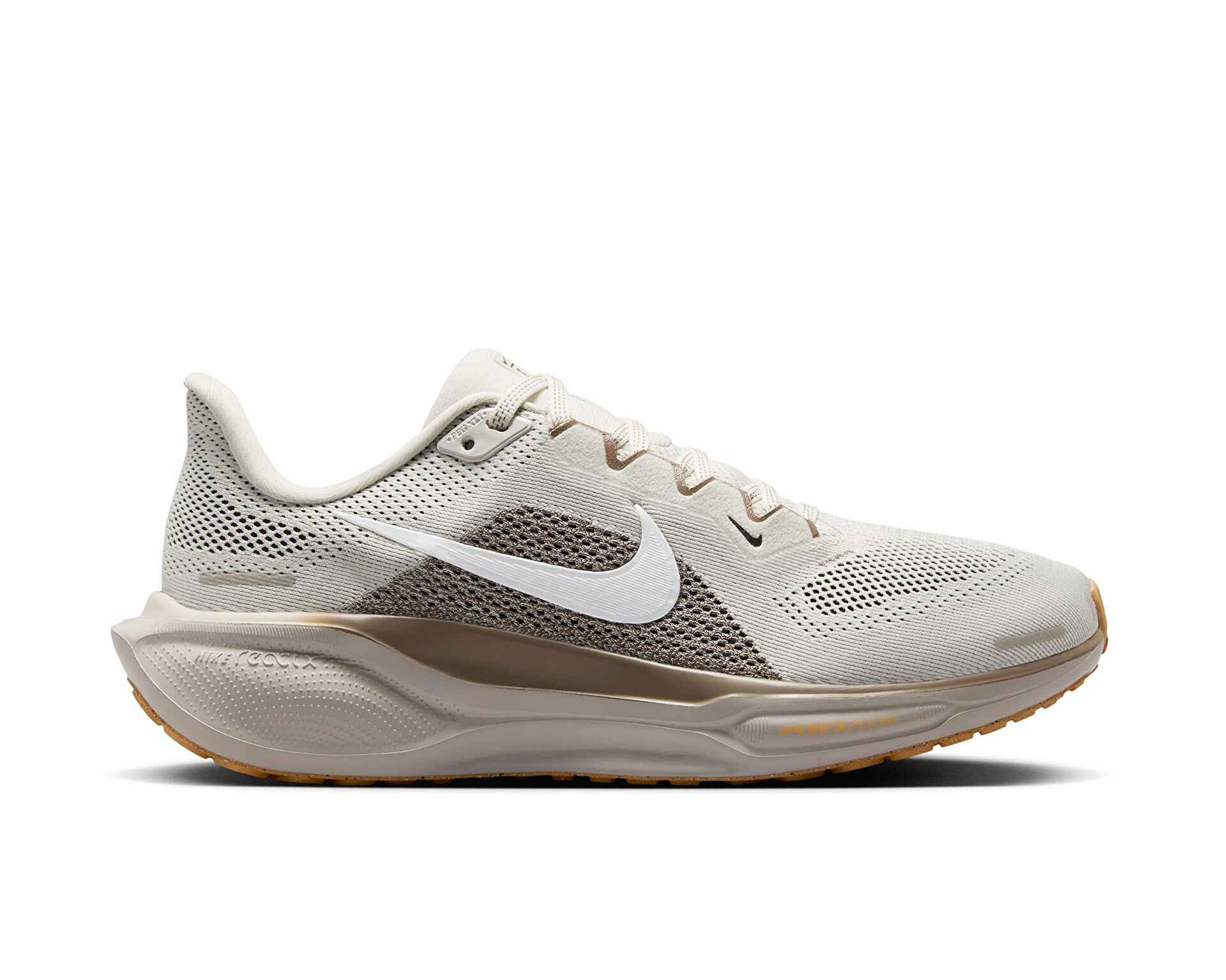 کفش دویدن Nike Pegasus 41 Gore-Tex