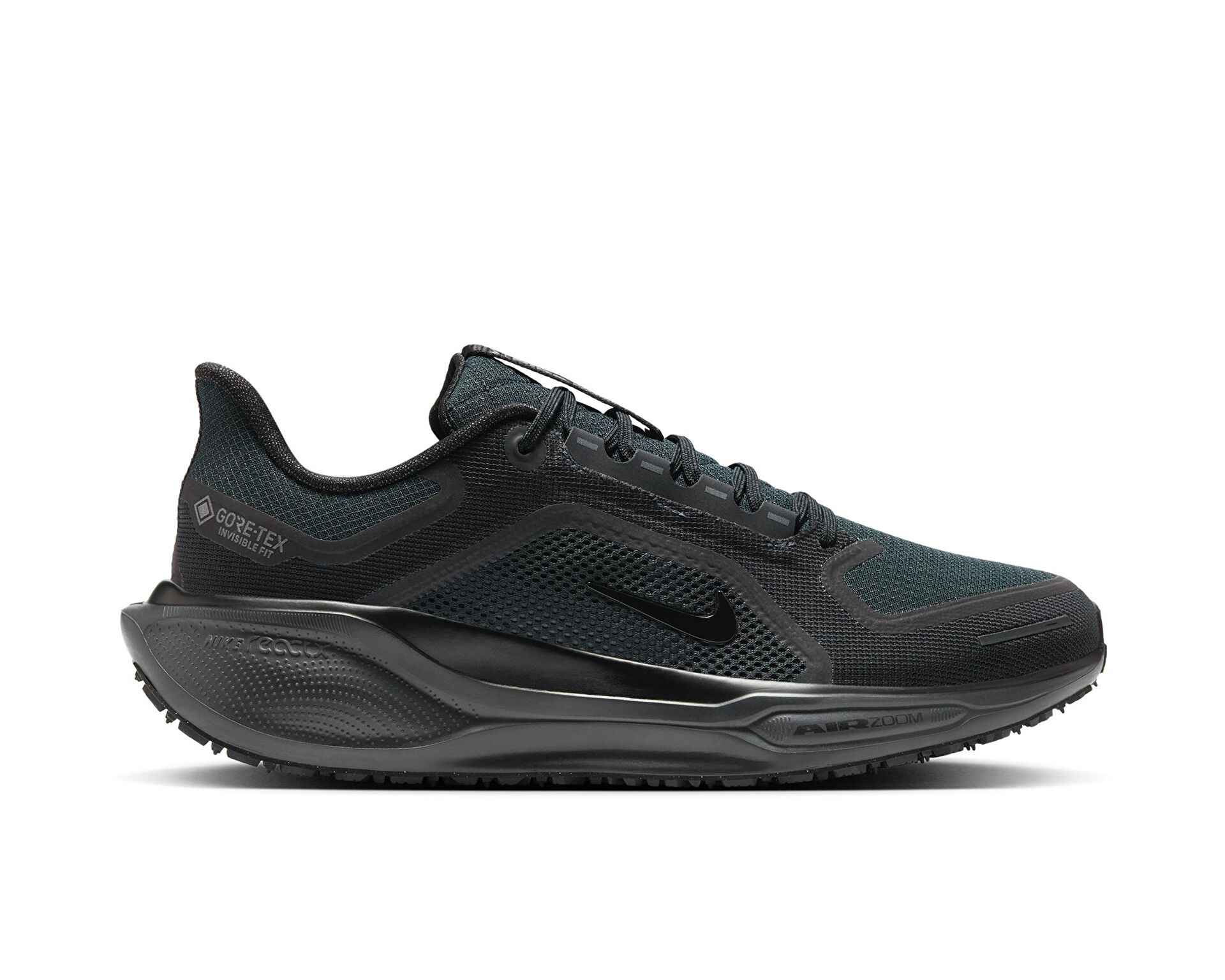 کفش دویدن Nike Pegasus 41 Gore-Tex