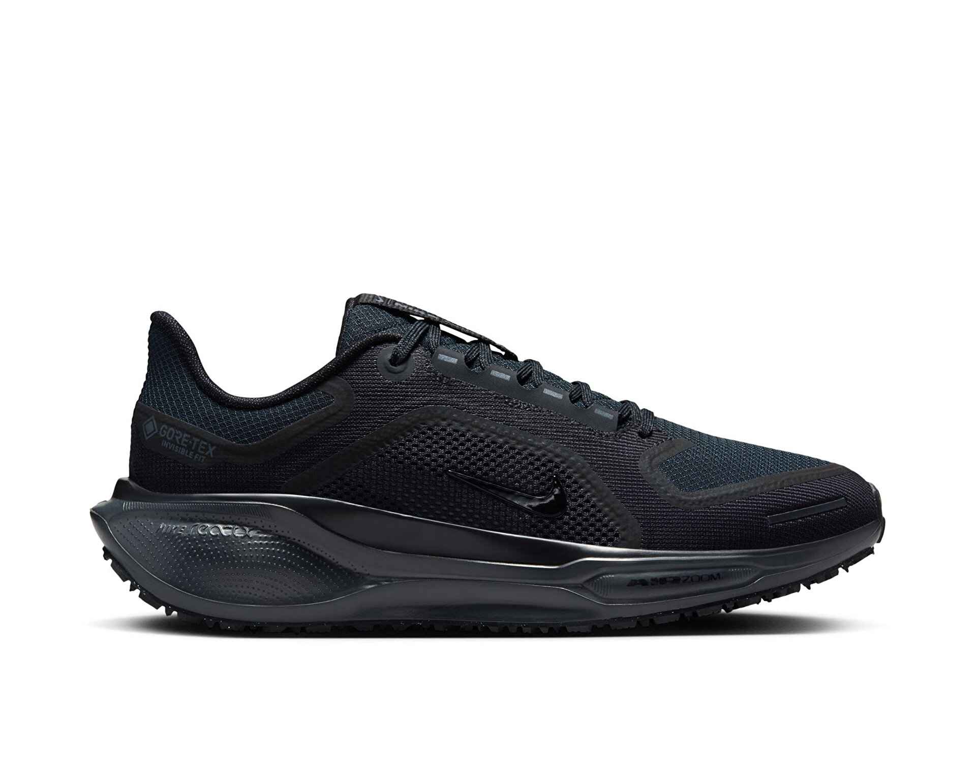 کفش دویدن Nike Pegasus 41 Gore-Tex