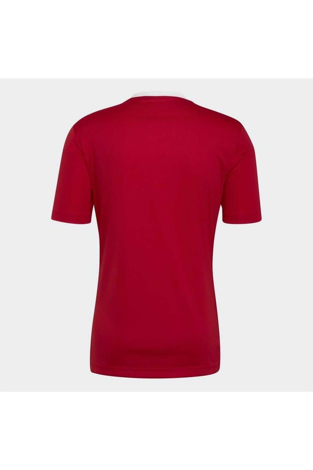 پیراهن مردانه Entrada 22 Jersey Adh61736