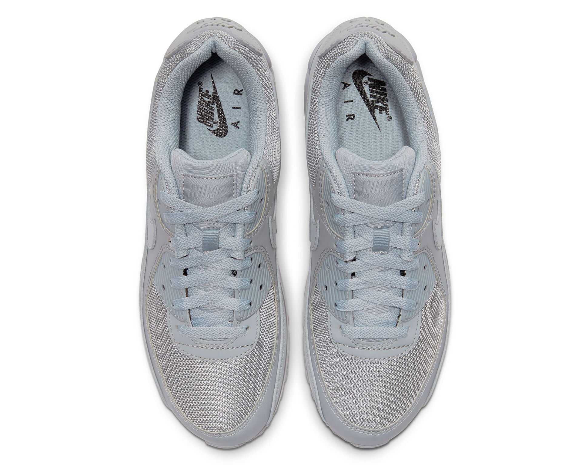 کفش های روزانه W Air Max 90 Prm