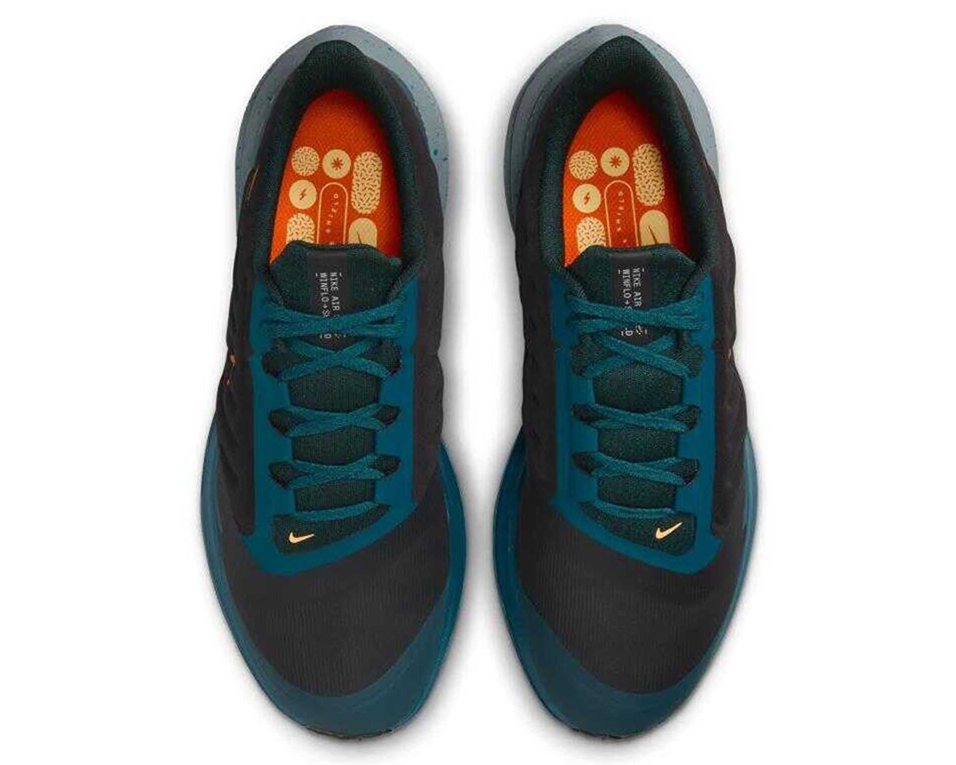 کفش دویدن Wmns Nike Air Winflo 9