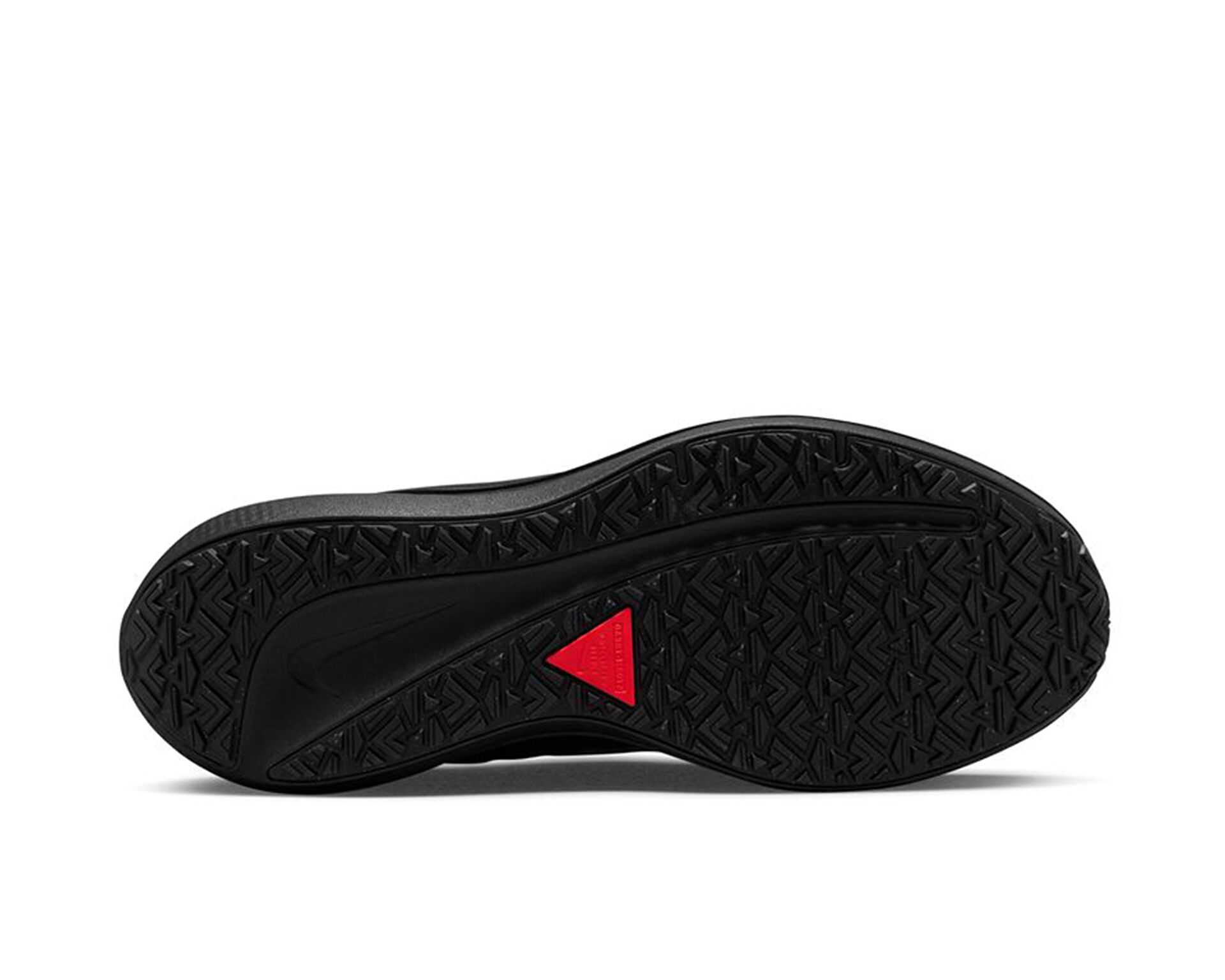 کفش دویدن Wmns Nike Air Winflo 9
