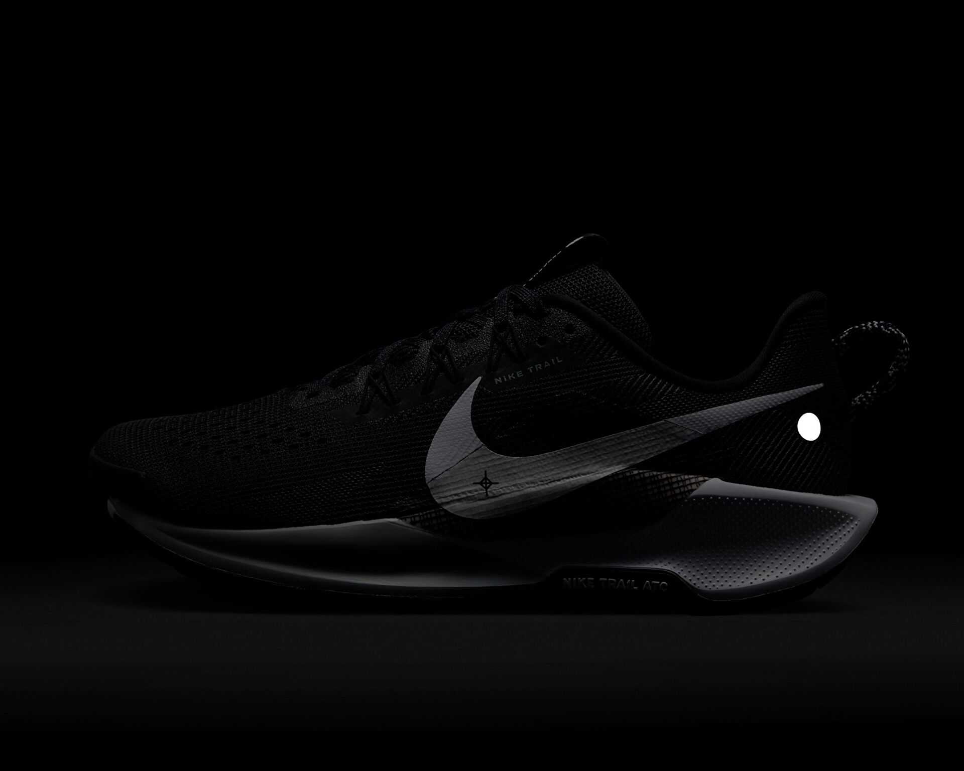 کفش های دویدن در تمام زمین Nike Pegasus Trail 5 Gore-Tex