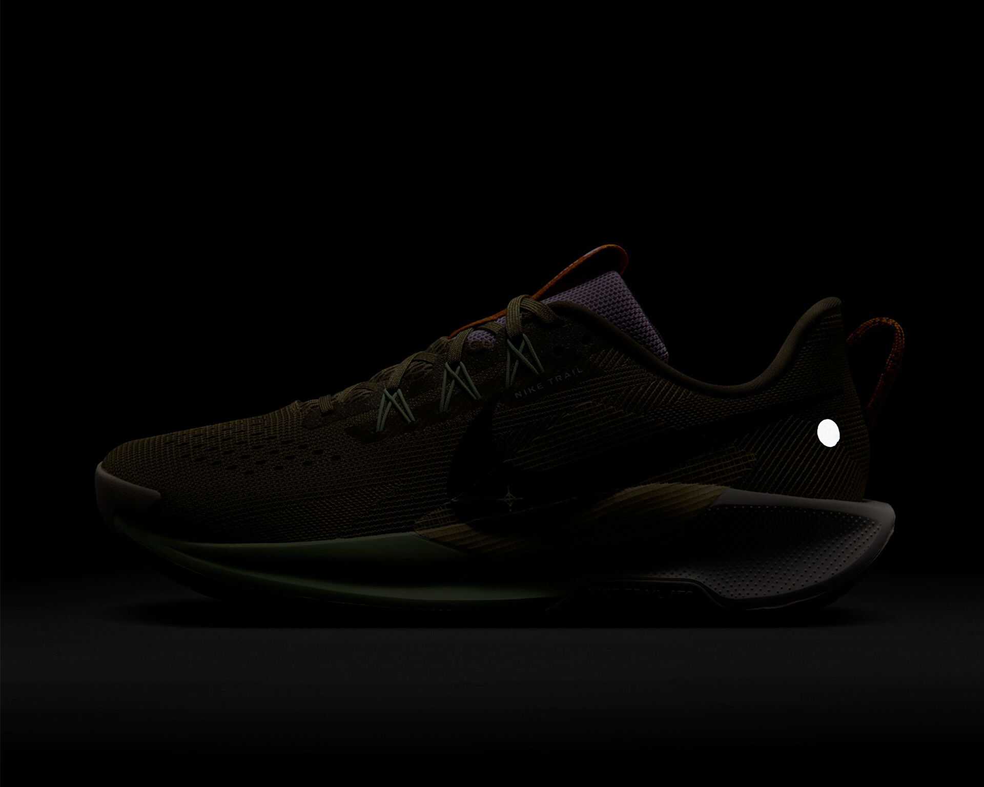 کفش های دویدن در تمام زمین Nike Pegasus Trail 5 Gore-Tex