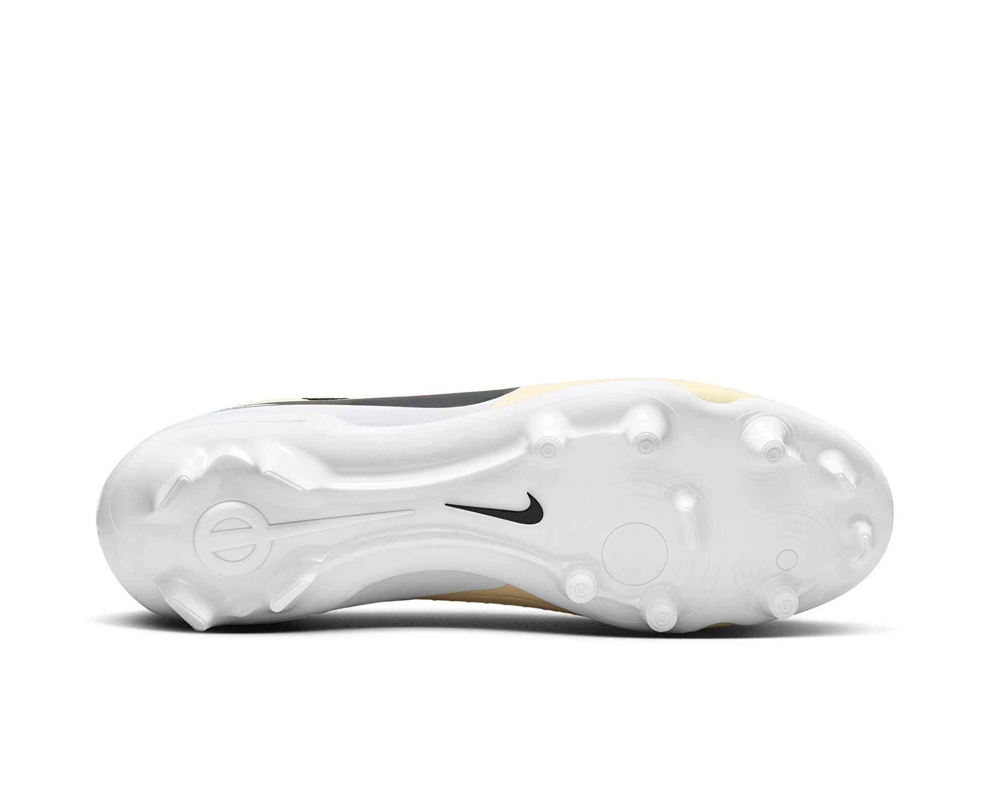 کفش فوتبال چمن Nike Legend 10 Academy Fg/Mg