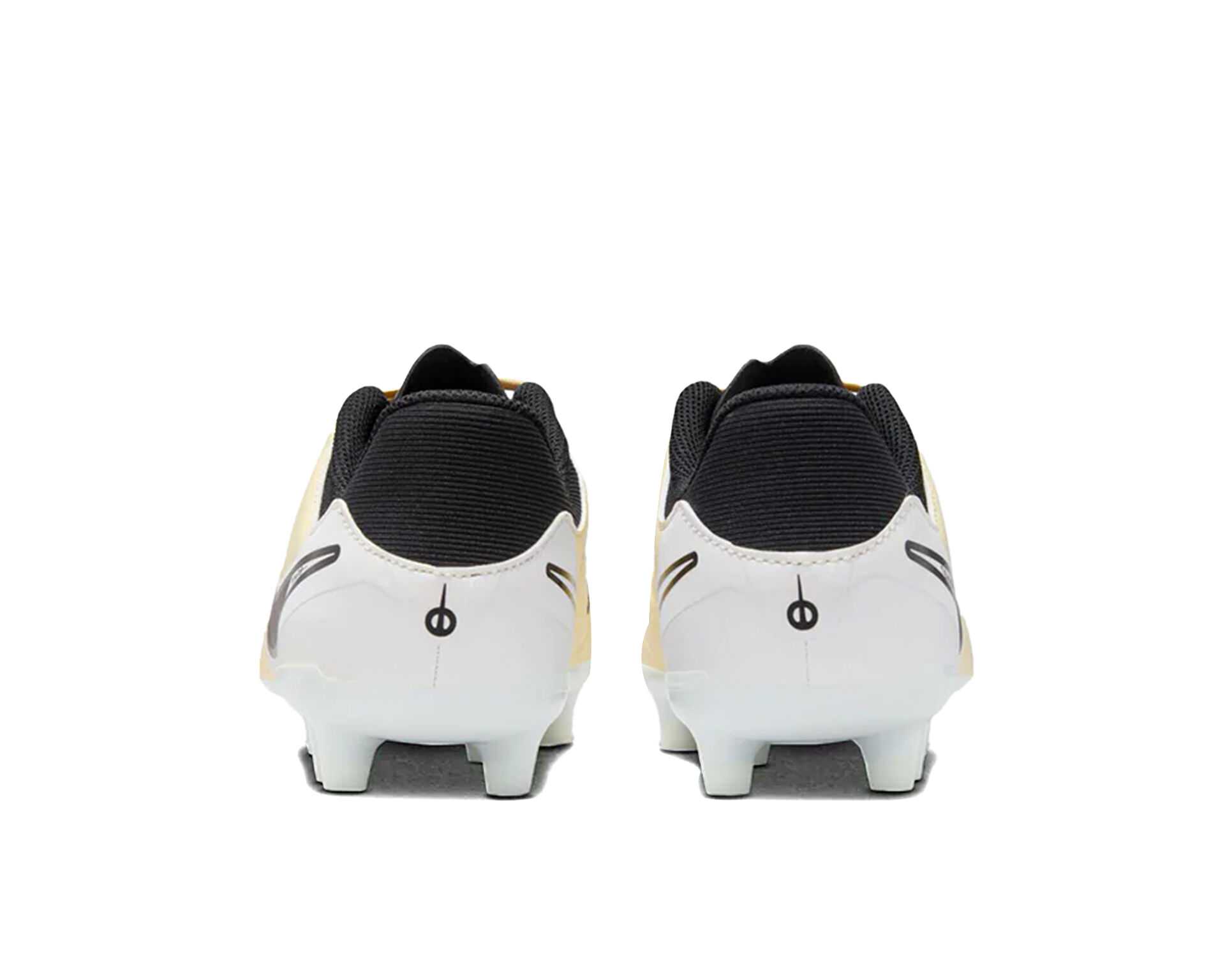 کفش فوتبال چمن جوان Jr Legend 10 Academy Fg/Mg