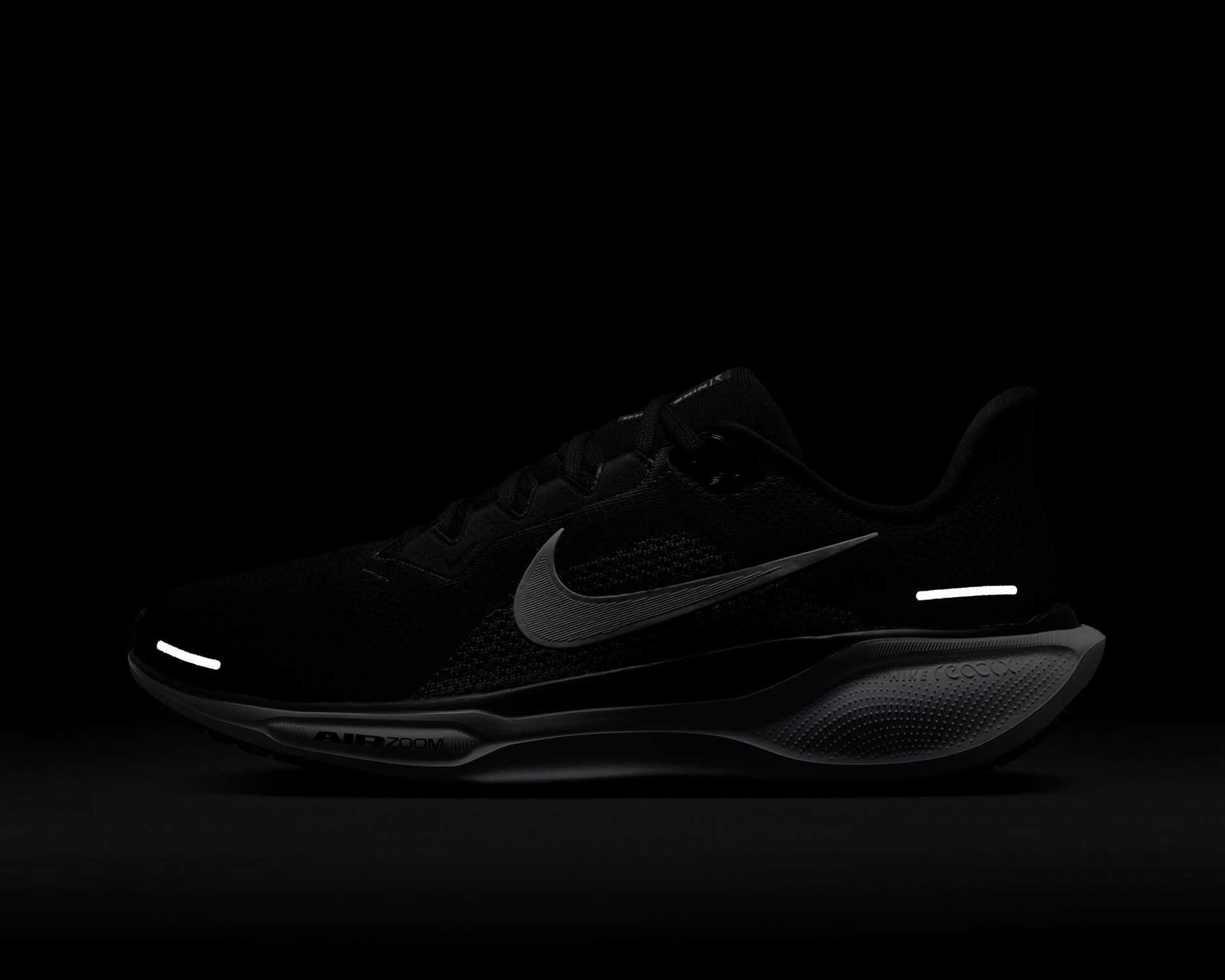 کفش دویدن Nike Pegasus 41 Gore-Tex