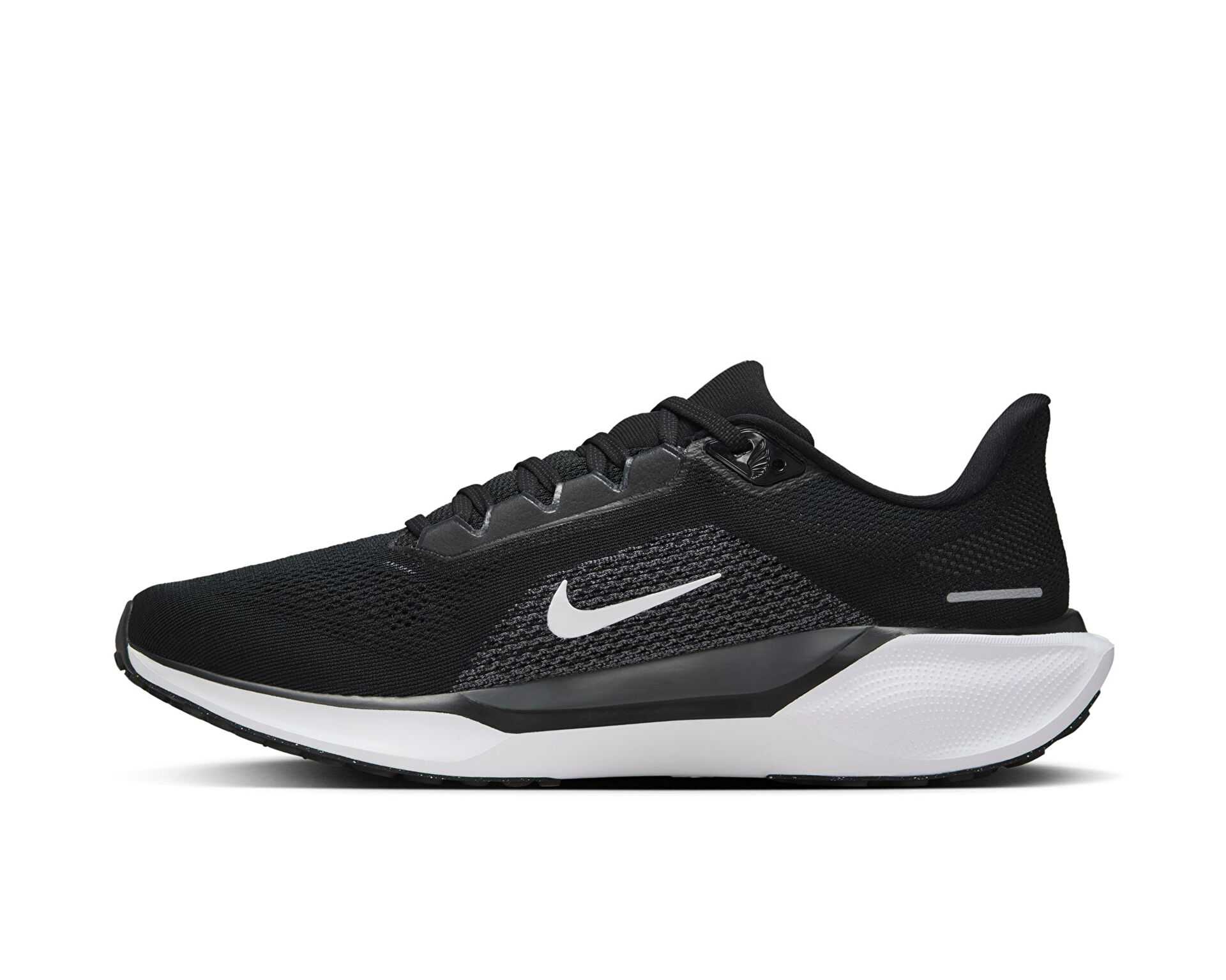 کفش دویدن Nike Pegasus 41 Gore-Tex
