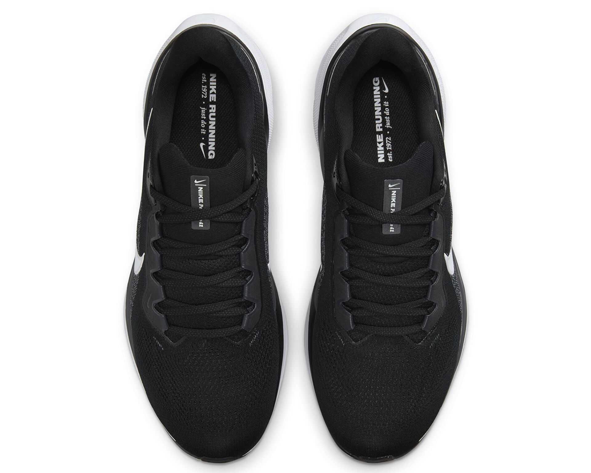 کفش دویدن Nike Pegasus 41 Gore-Tex