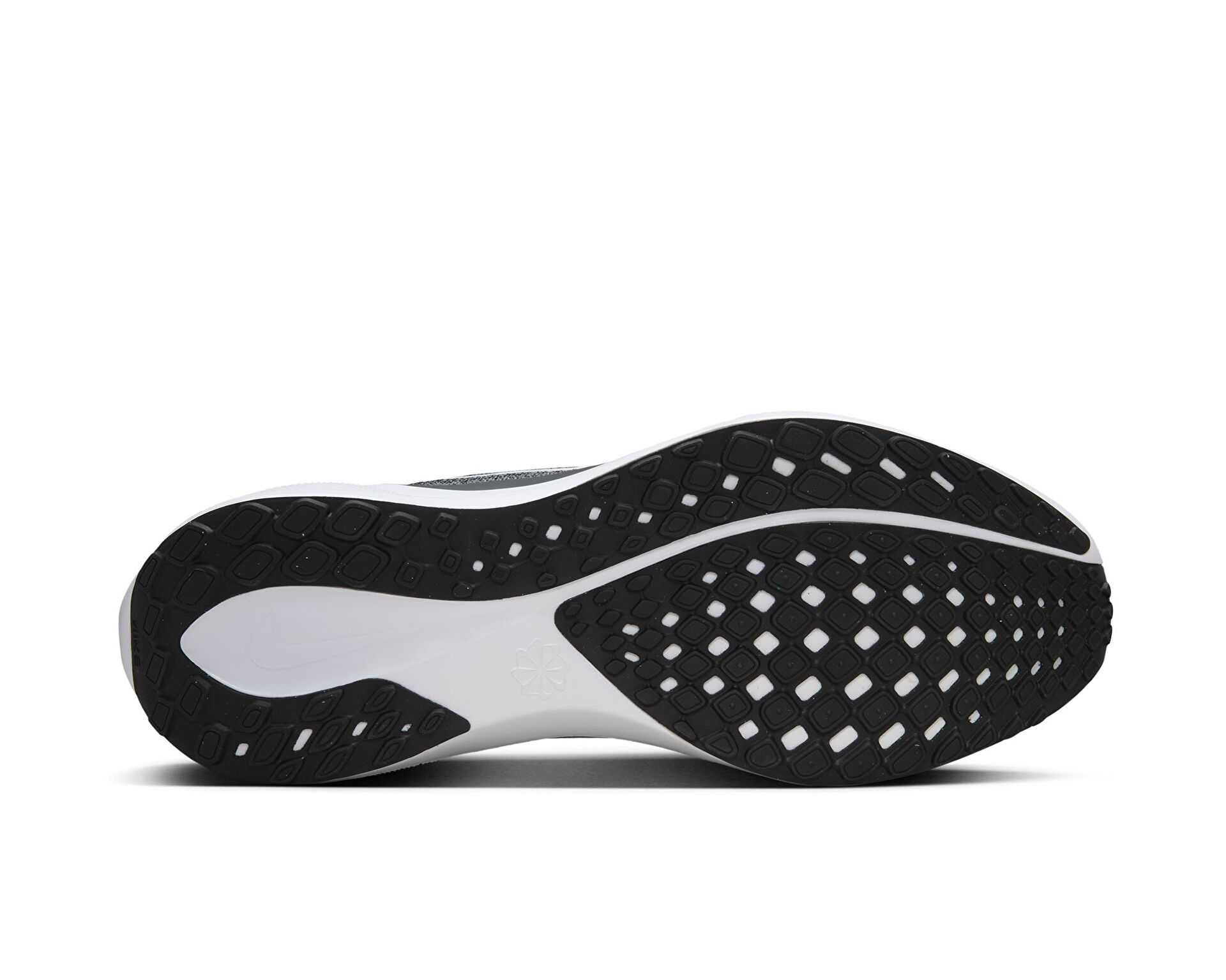 کفش دویدن Nike Pegasus 41 Gore-Tex
