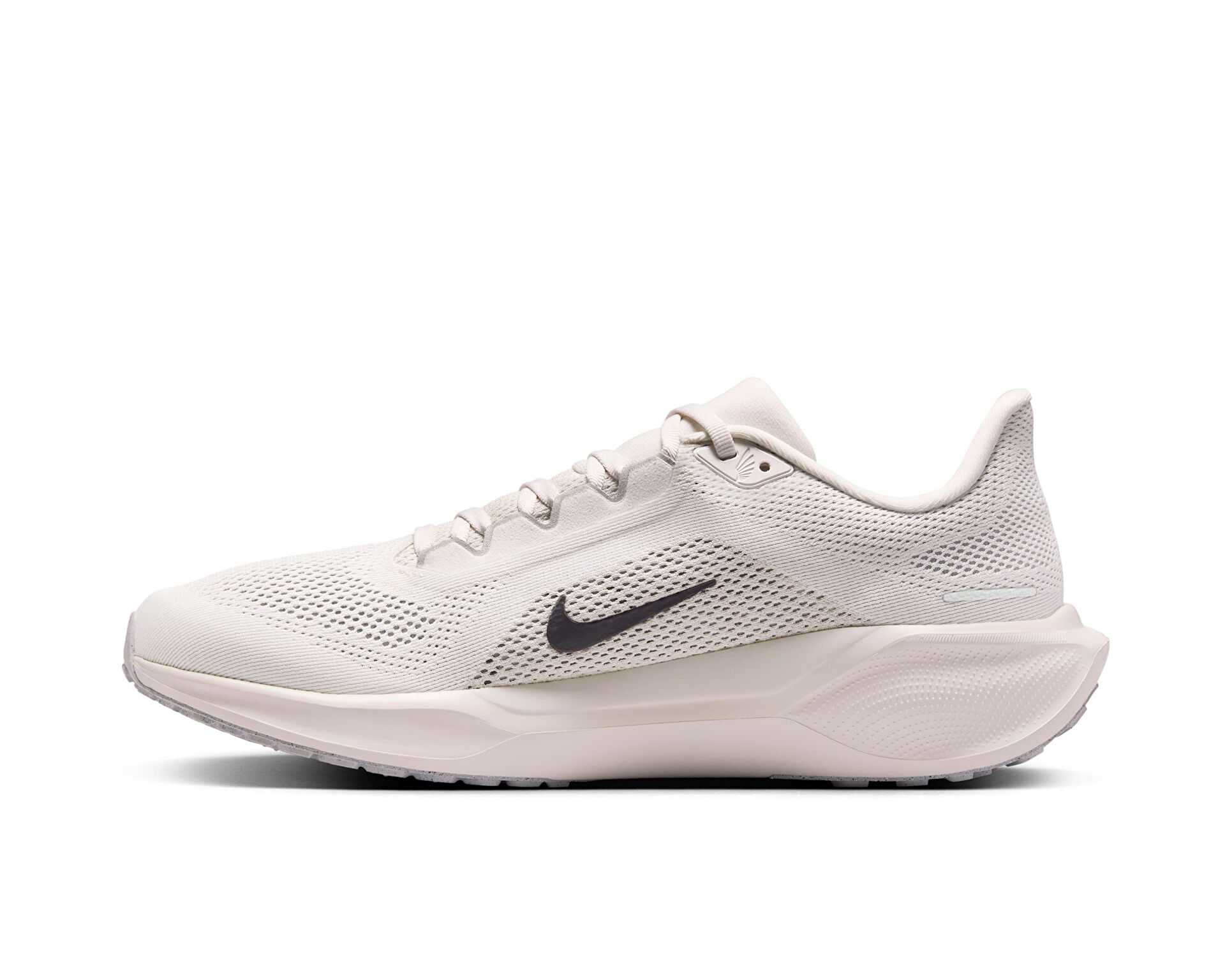 کفش دویدن Nike Pegasus 41 Gore-Tex
