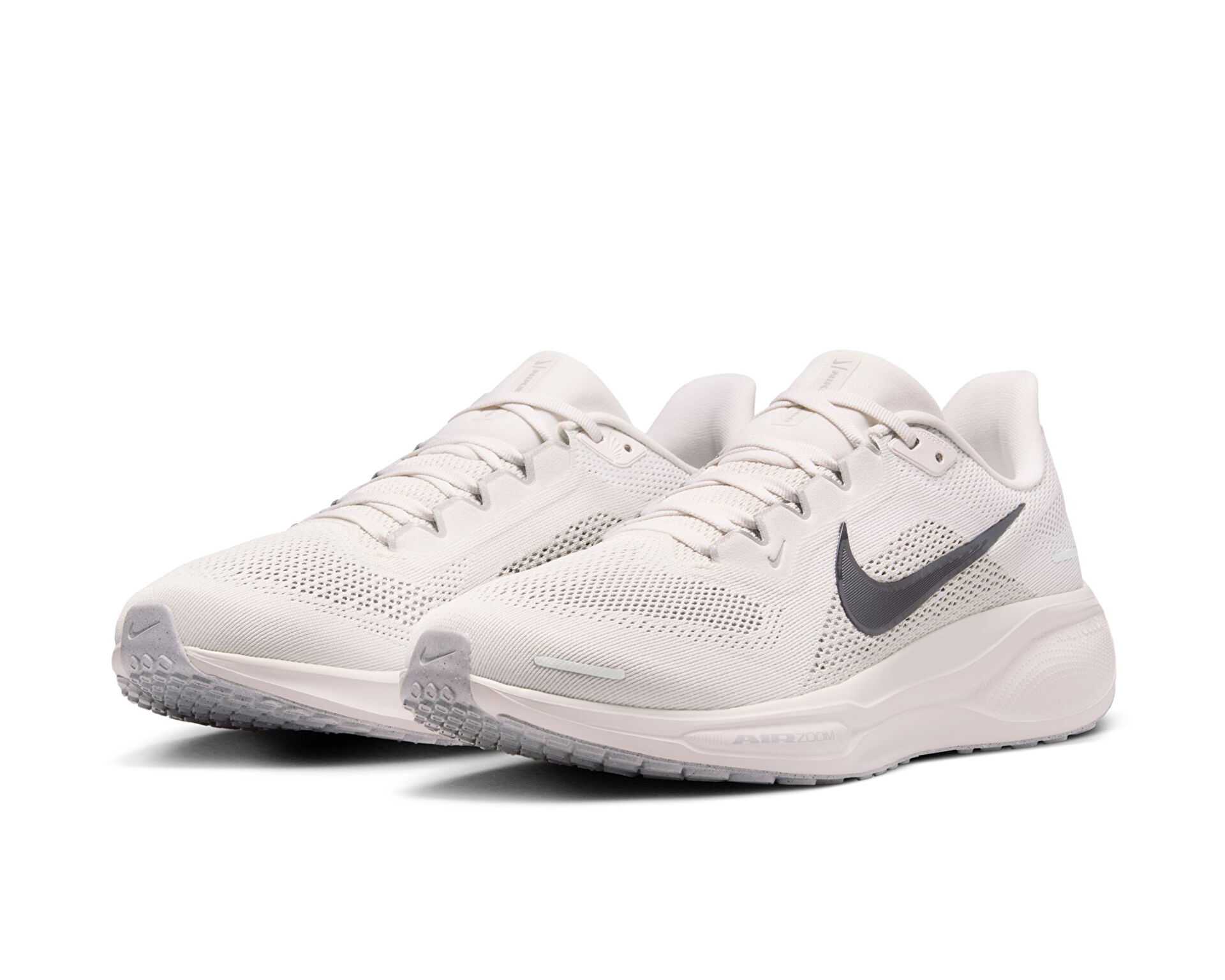 کفش دویدن Nike Pegasus 41 Gore-Tex