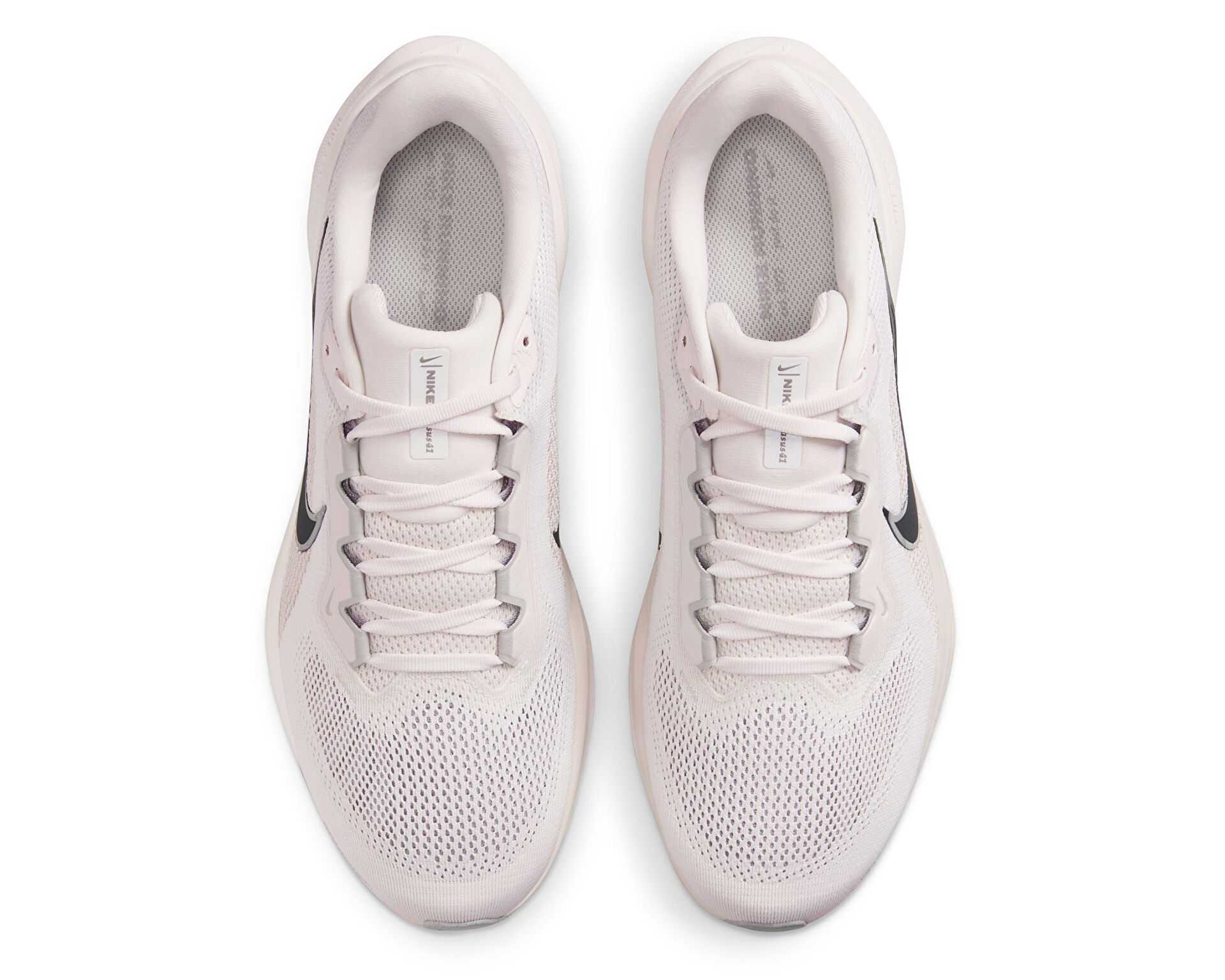 کفش دویدن Nike Pegasus 41 Gore-Tex