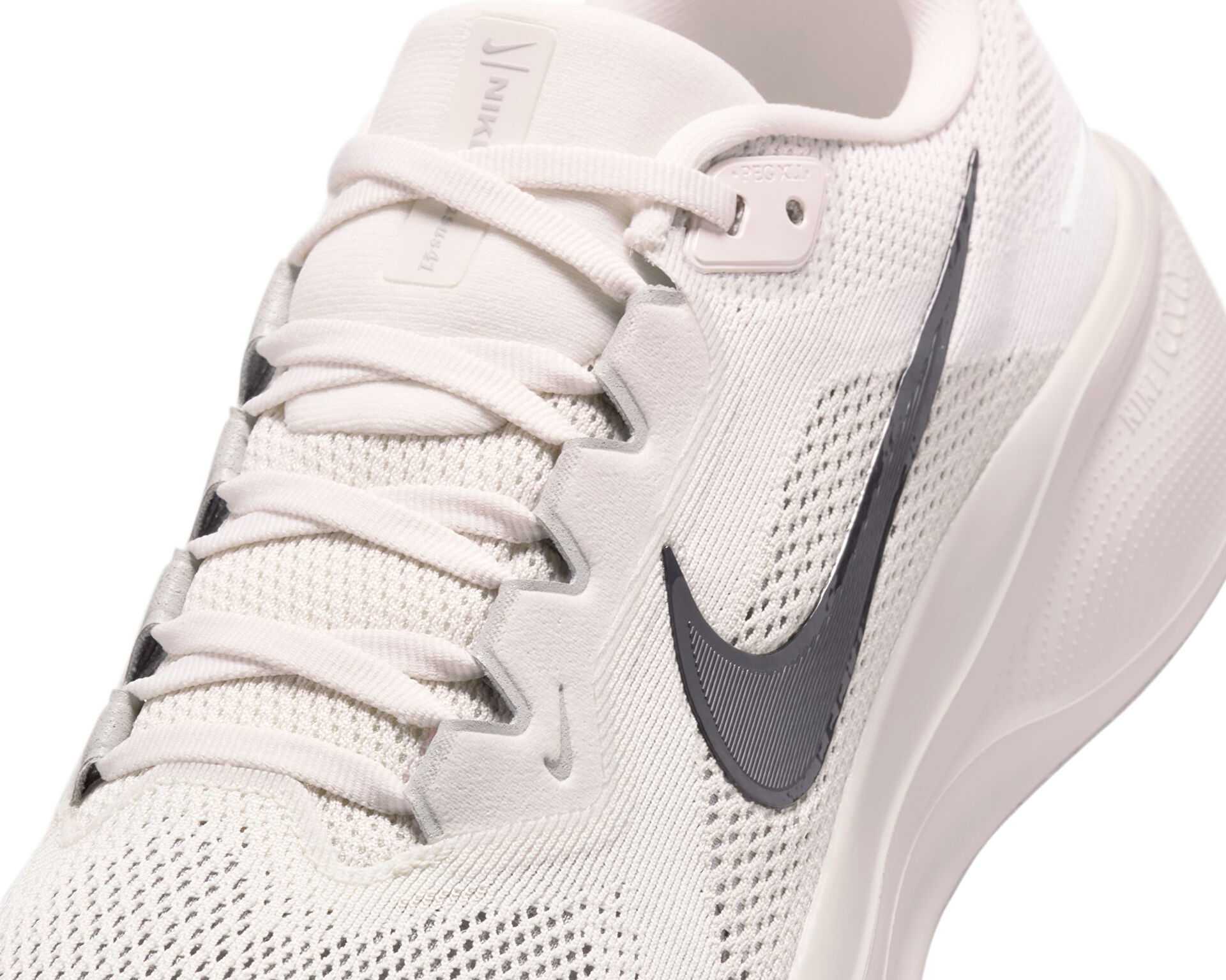 کفش دویدن Nike Pegasus 41 Gore-Tex