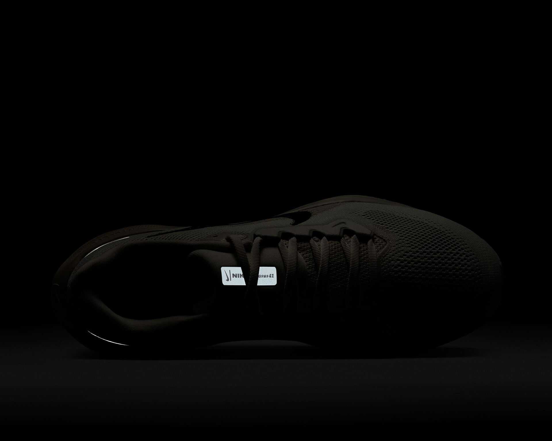 کفش دویدن Nike Pegasus 41 Gore-Tex