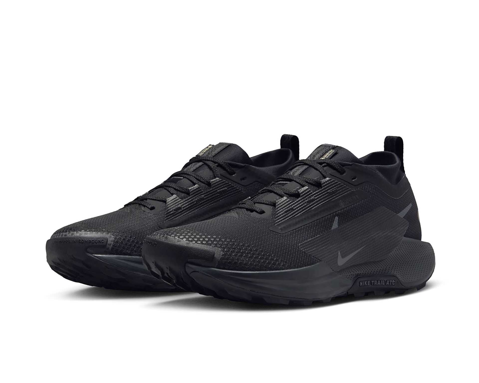 کفش های دویدن در تمام زمین Nike Pegasus Trail 5 Gore-Tex