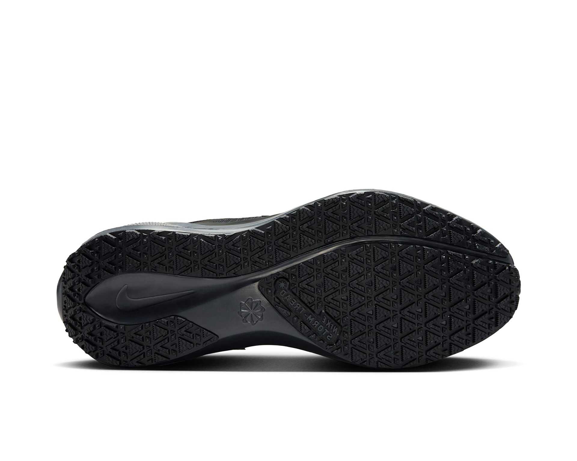 کفش دویدن Nike Pegasus 41 Gore-Tex