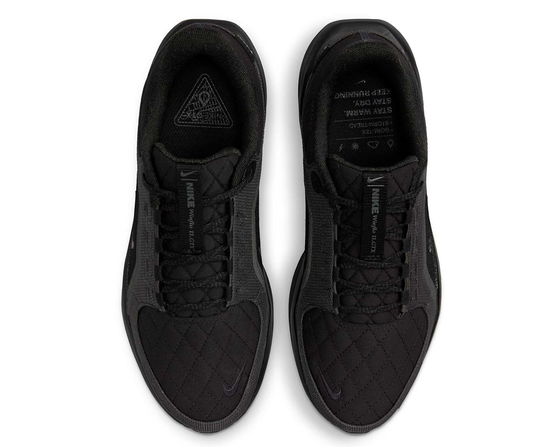 کفش دویدن Nike Winflo 11 Gore-Tex