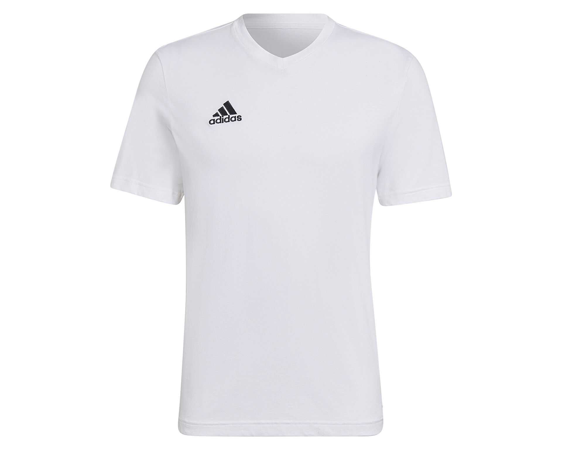 تیشرت آموزشی Ent22 Tee