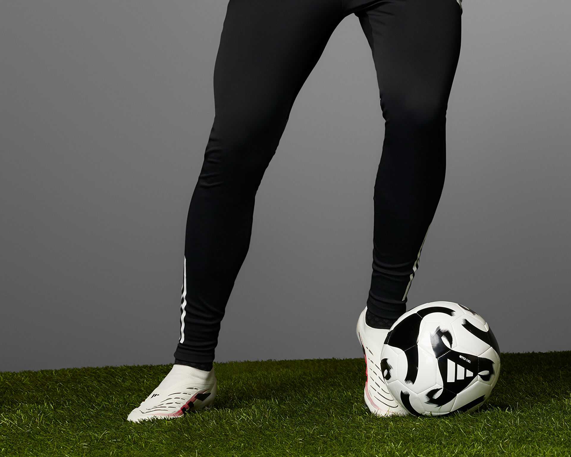 کفش فوتبال چمن Predator Elite Fg