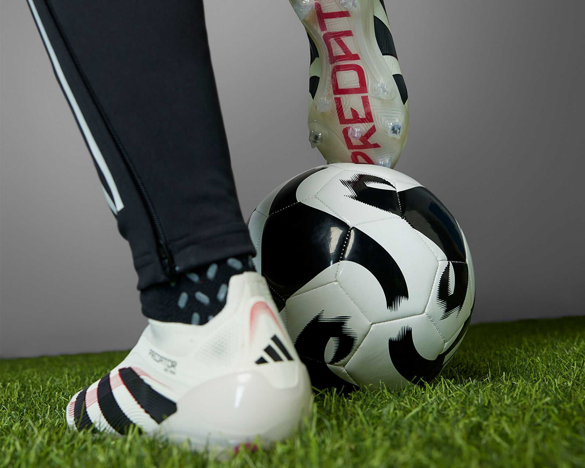 کفش فوتبال چمن Predator Elite Fg