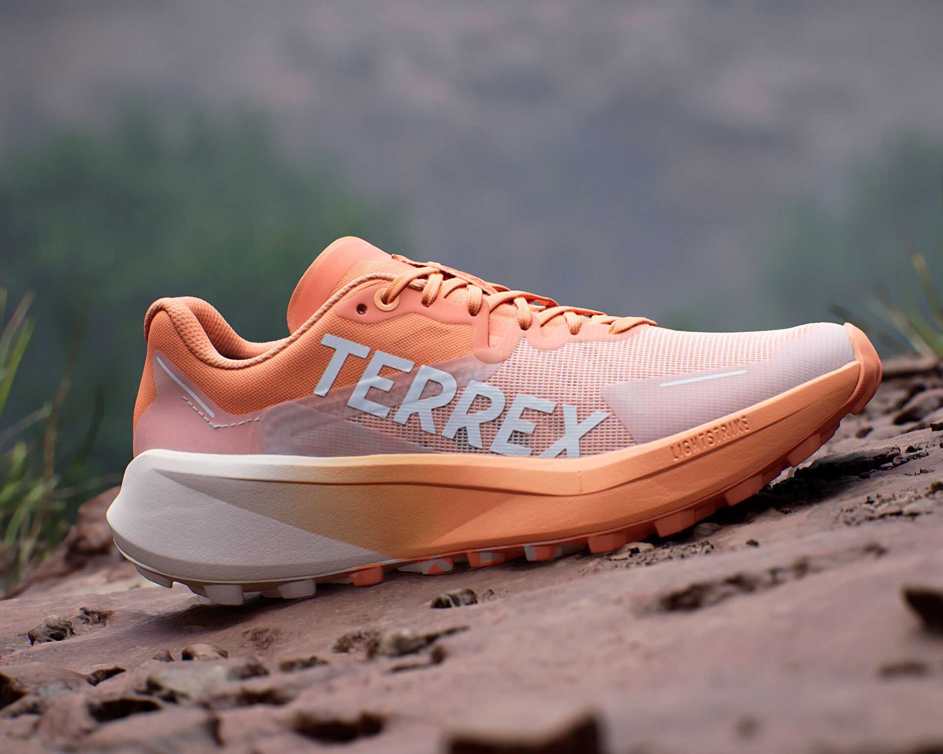 کفش های دویدن در تمام زمین Adidas Terrex Agravic 3 W