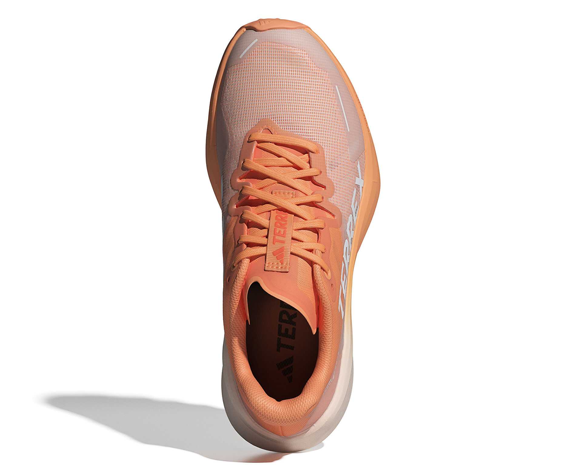 کفش های دویدن در تمام زمین Adidas Terrex Agravic 3 W