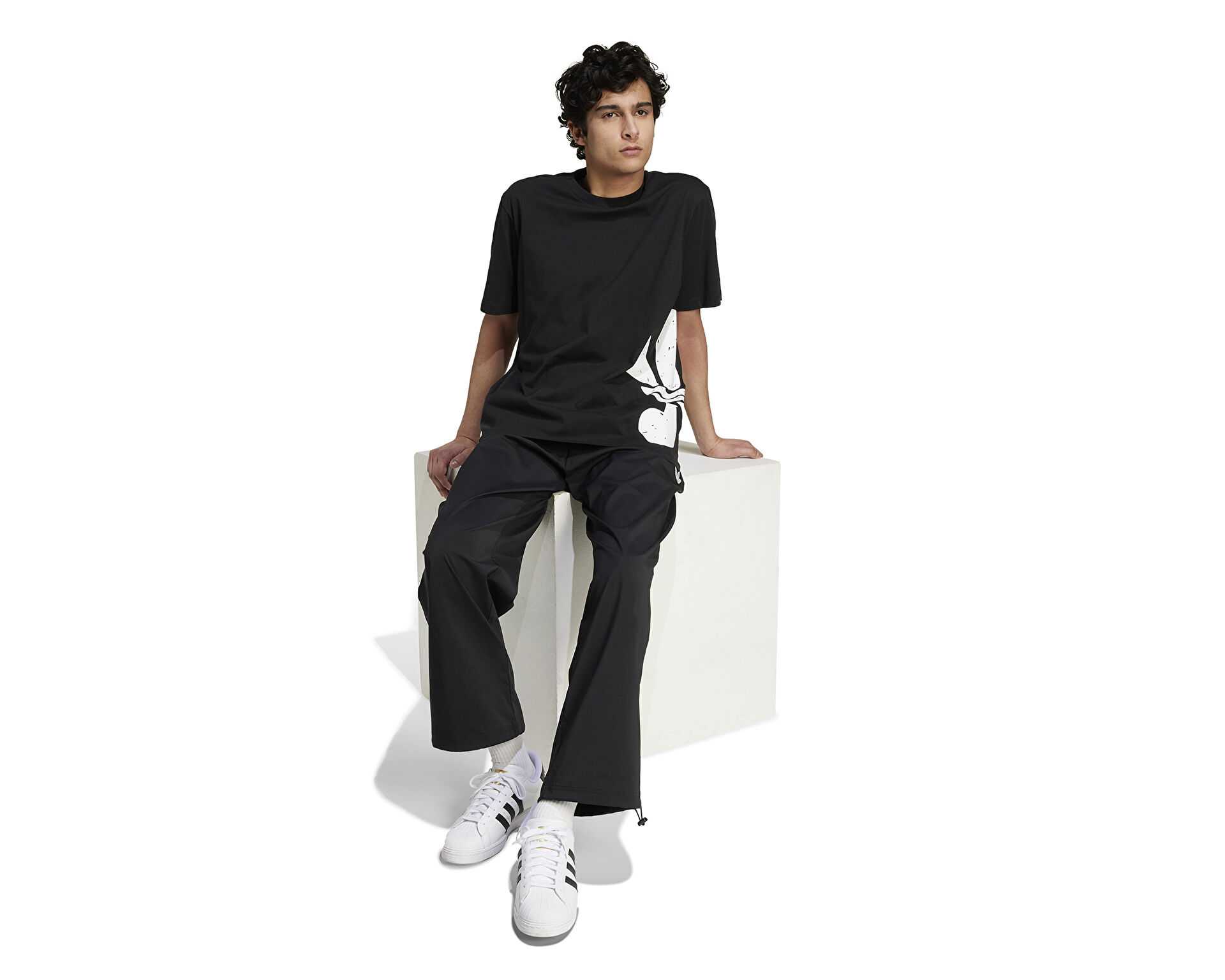 تیشرت روزانه Adidas Ts Street 2