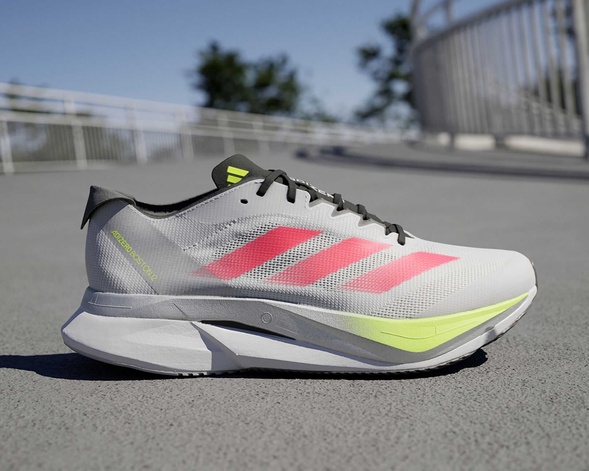 کفش دویدن Adidas Adizero Boston 12 M
