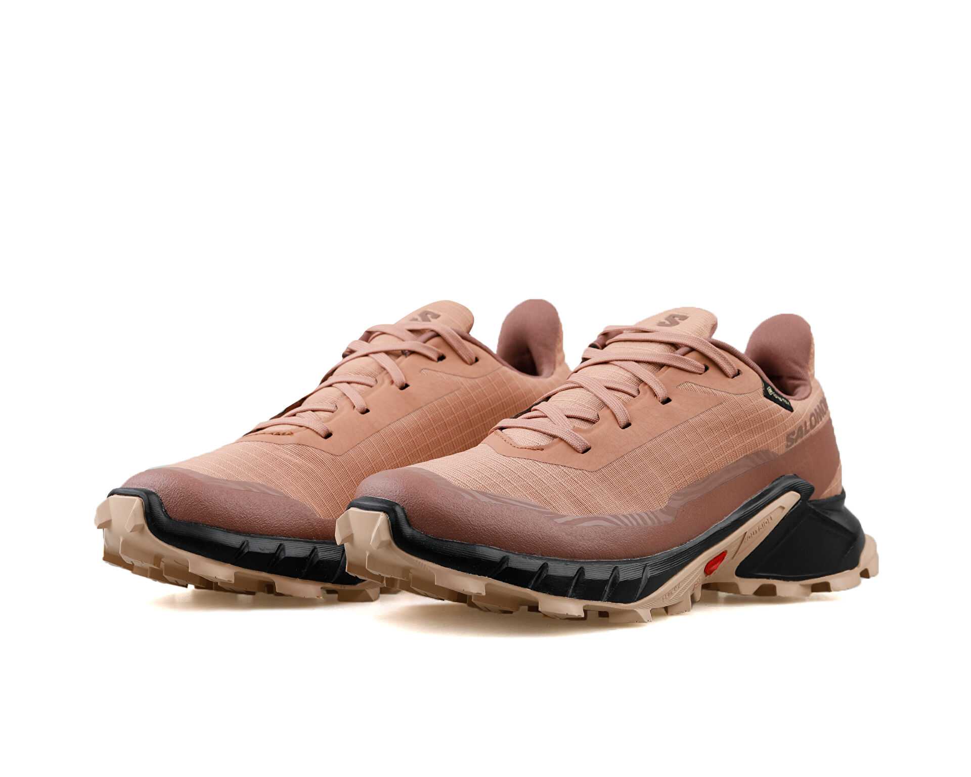 کفش دویدن Alphacross 5 Gtx W