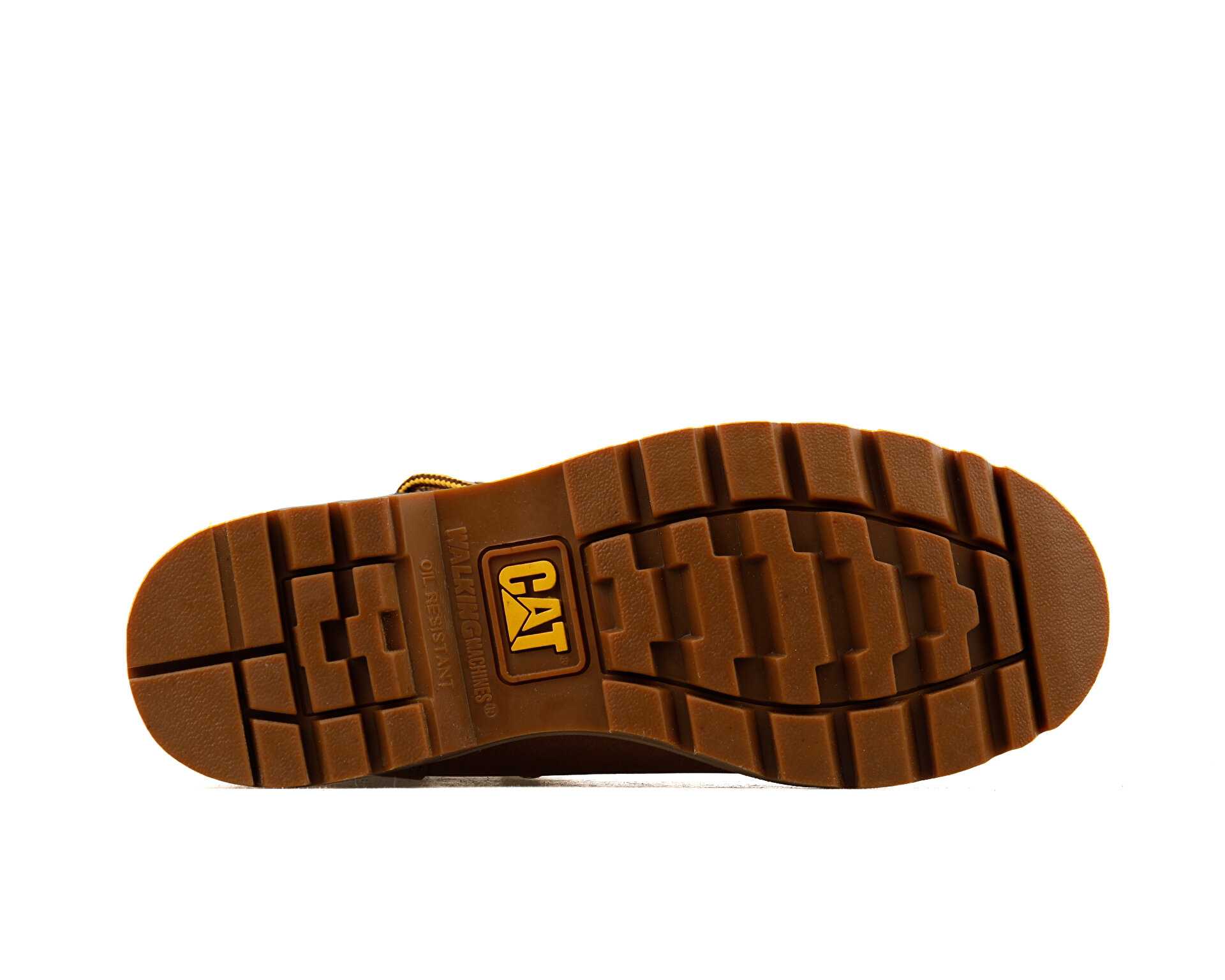 قایق روزانه Alaska Sundance