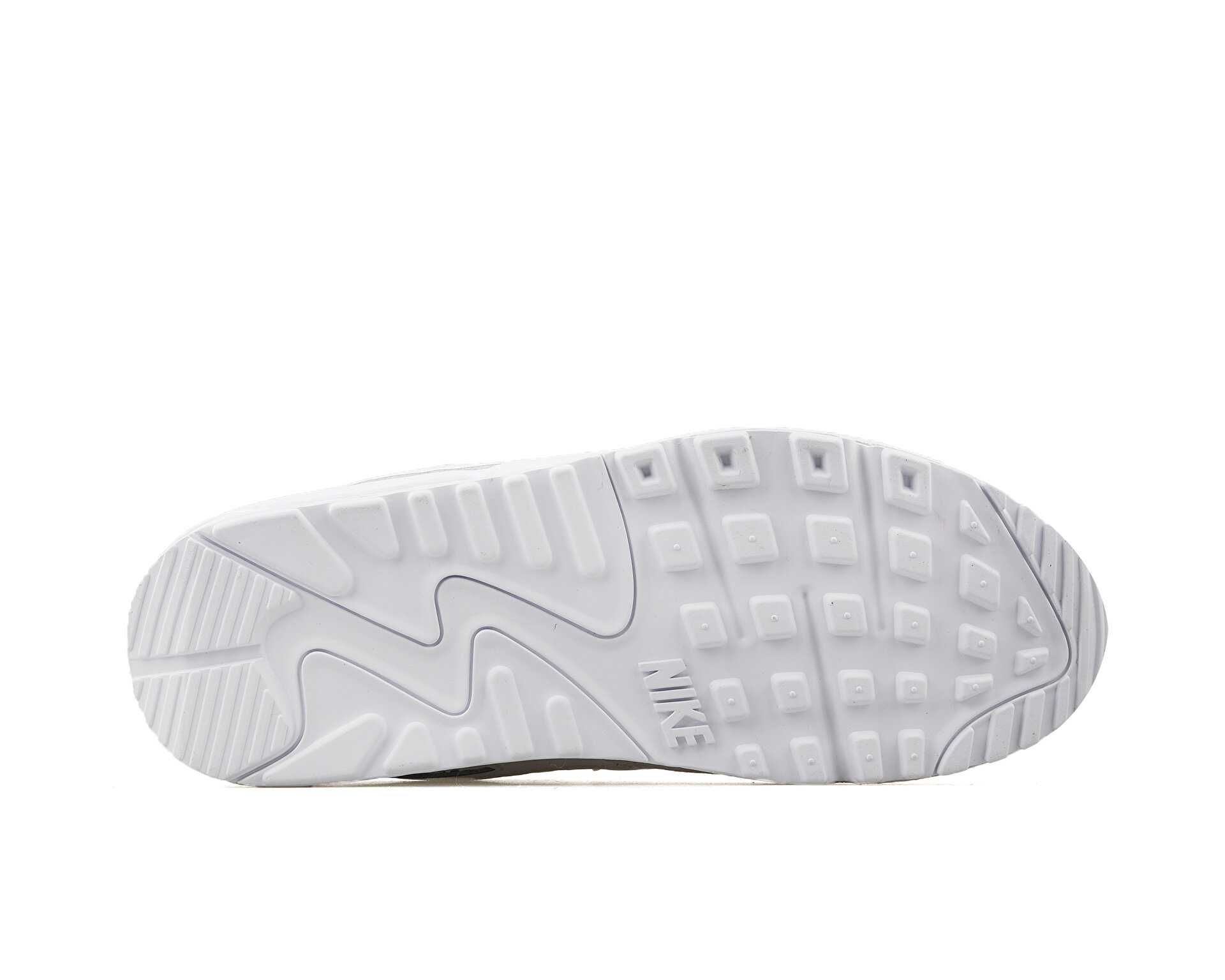 کفش های روزانه W Air Max 90 Prm