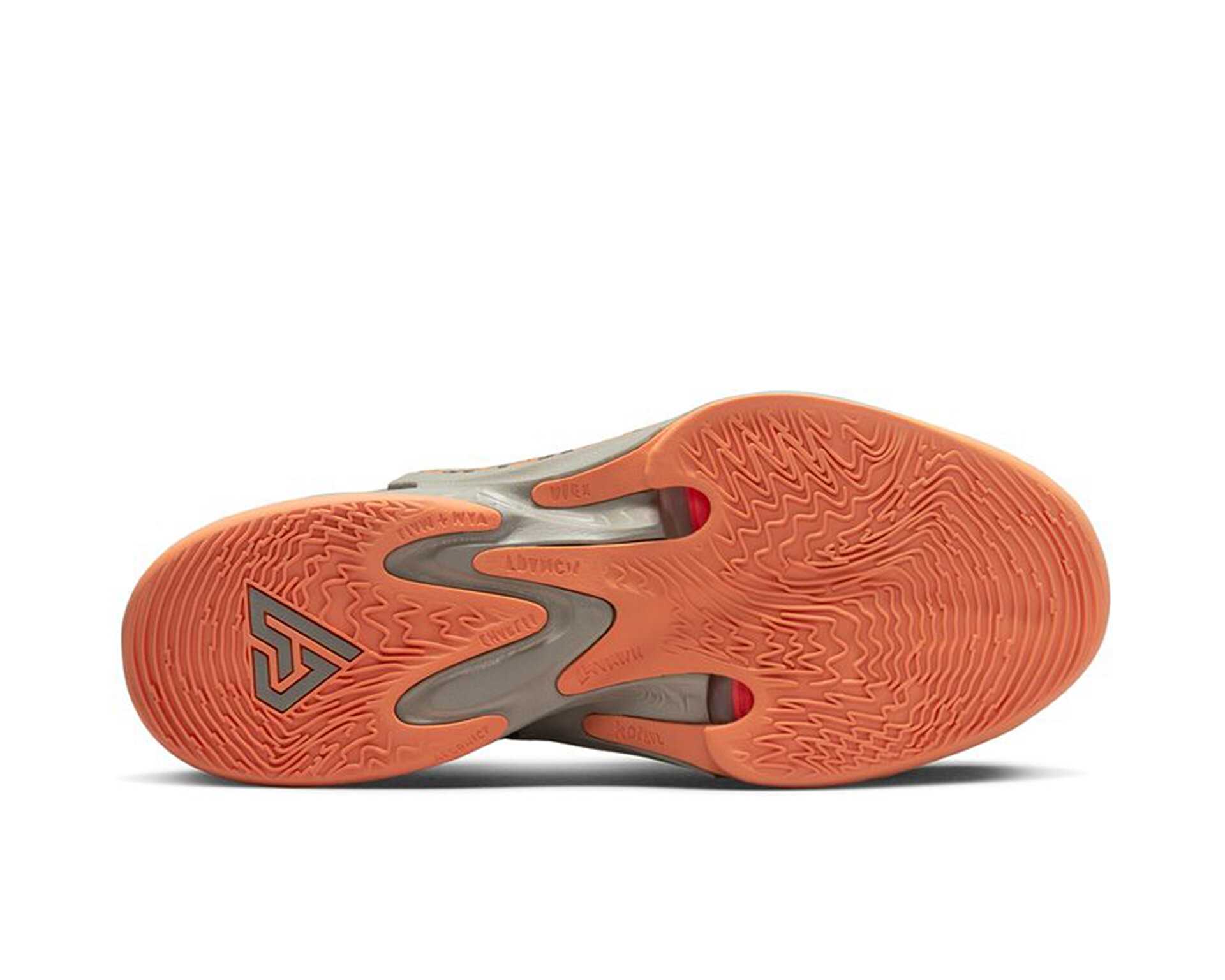 کفش های بسکتبال Zoom Freak 4