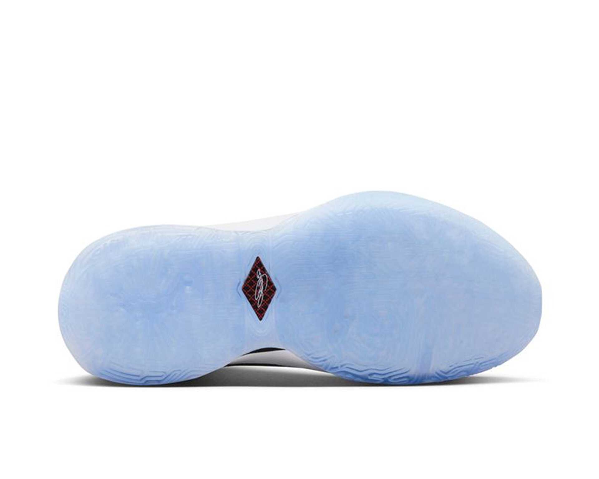 کفش بسکتبال جوانان Nike Lebron Xxı