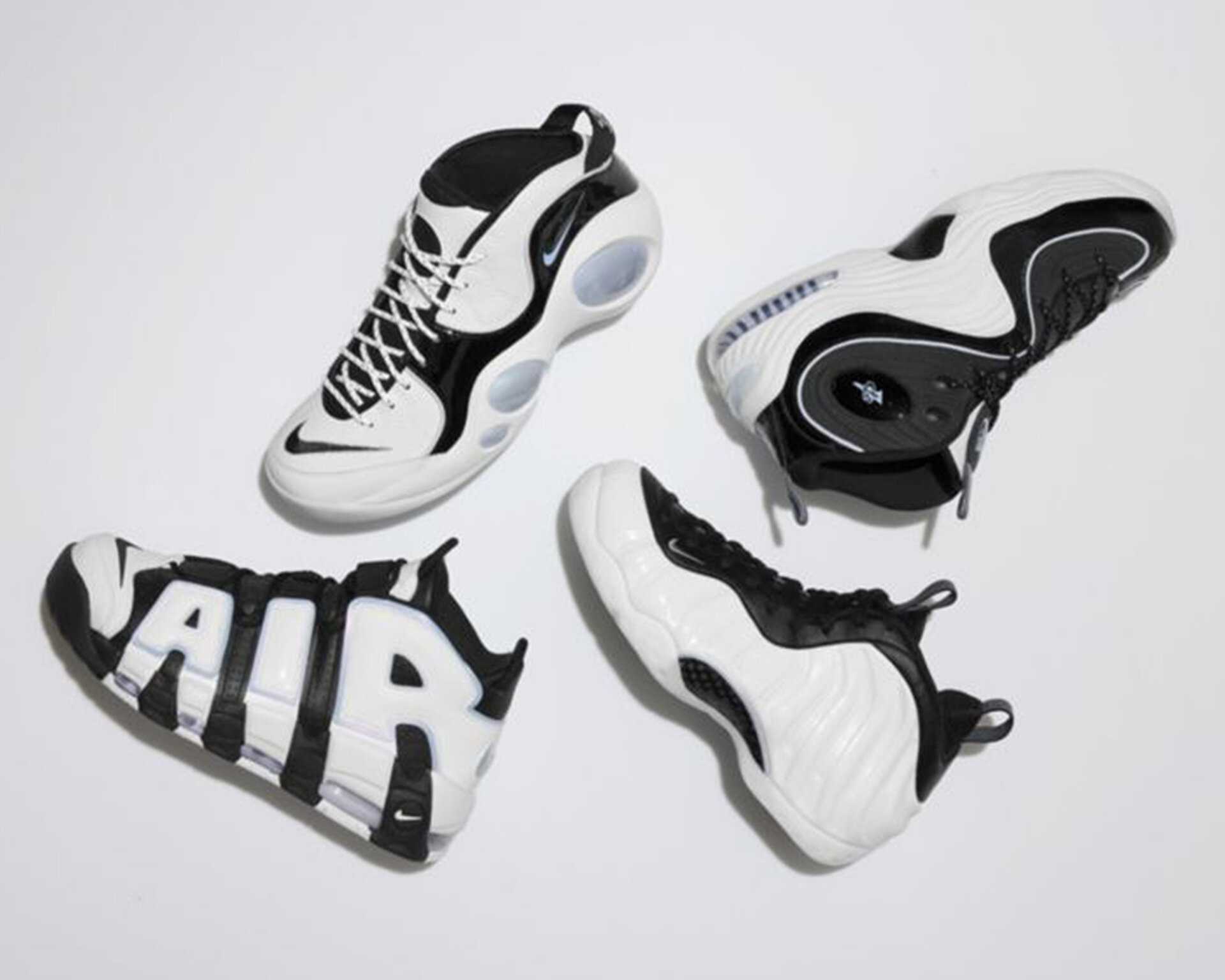کفش های بسکتبال Air Zoom Flight 95