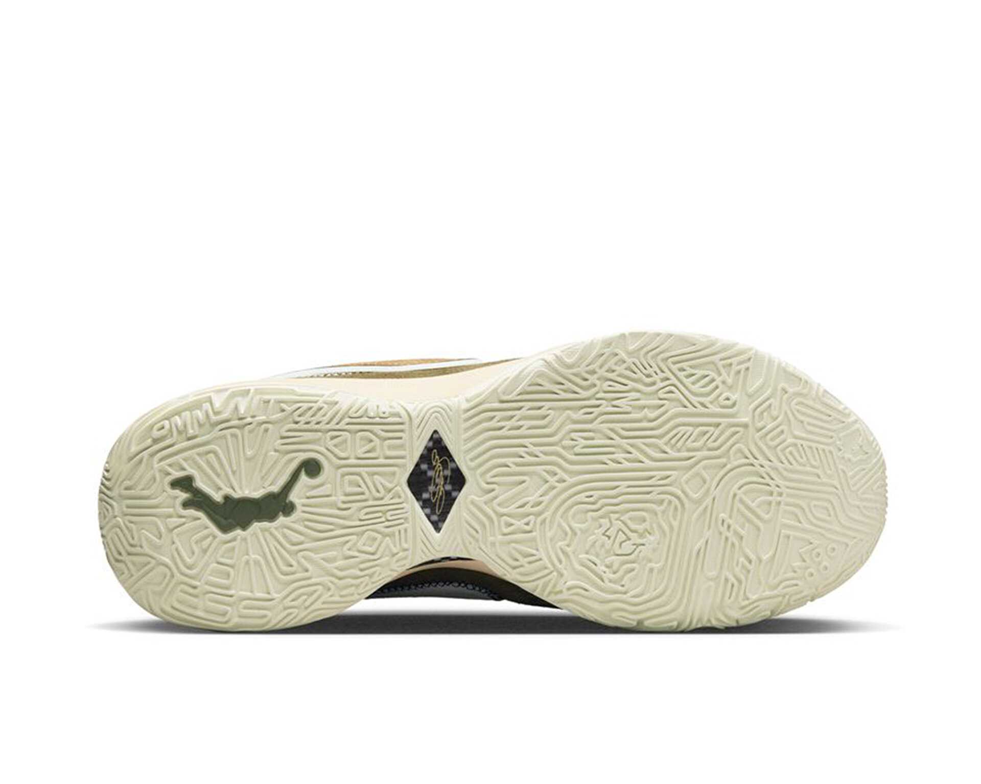 کفش های بسکتبال Lebron Xx