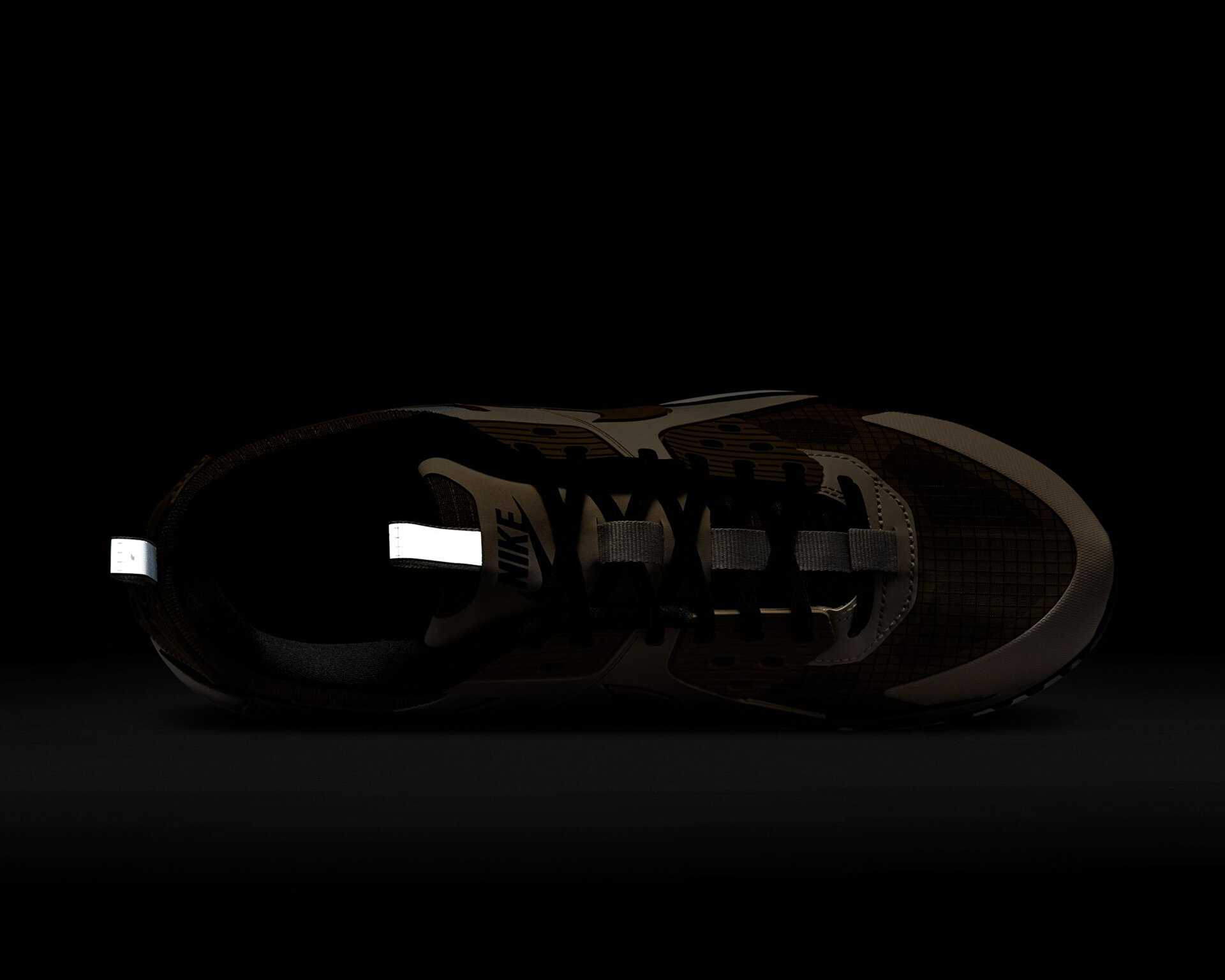 کفش های روزانه W Air Max 90 Prm