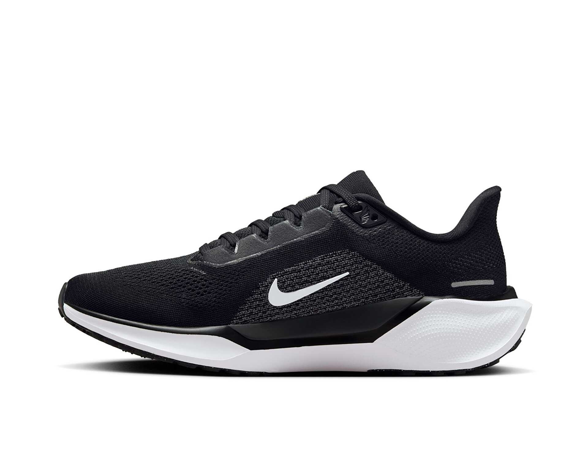 کفش دویدن Nike Pegasus 41 Gore-Tex