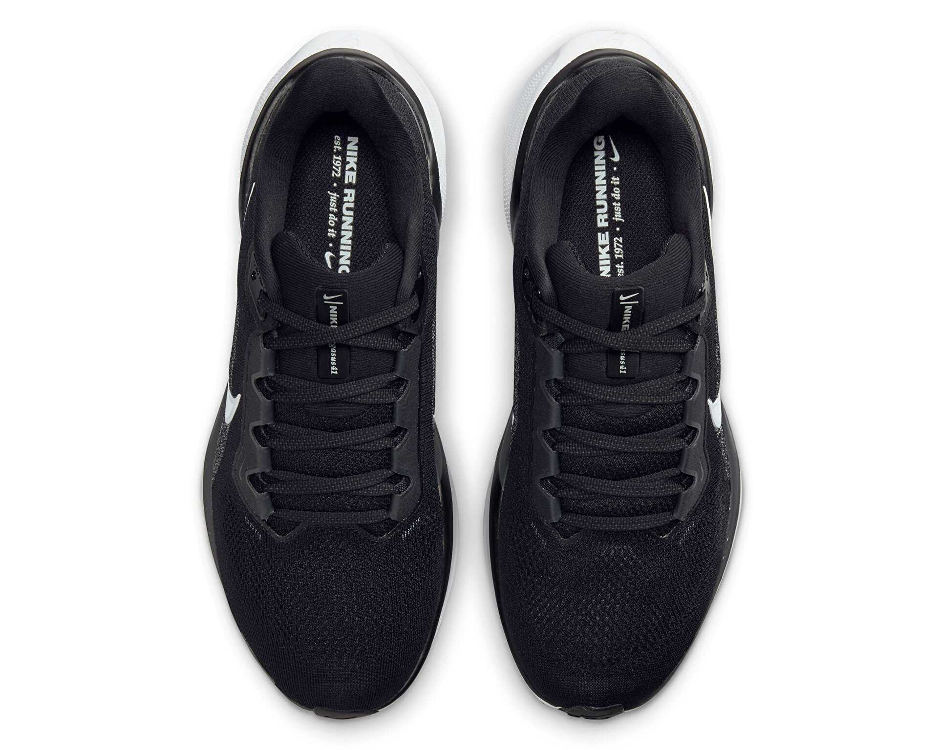 کفش دویدن Nike Pegasus 41 Gore-Tex