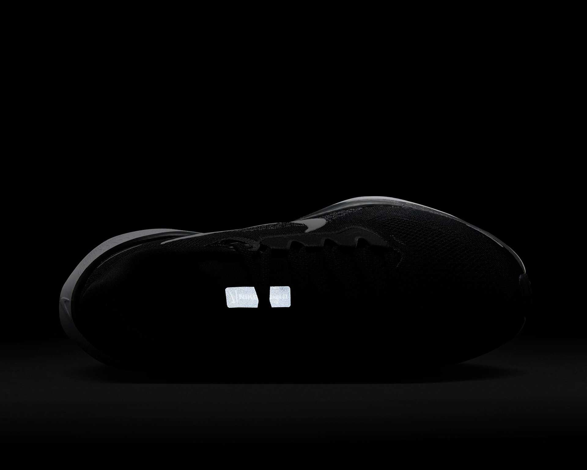 کفش دویدن Nike Pegasus 41 Gore-Tex