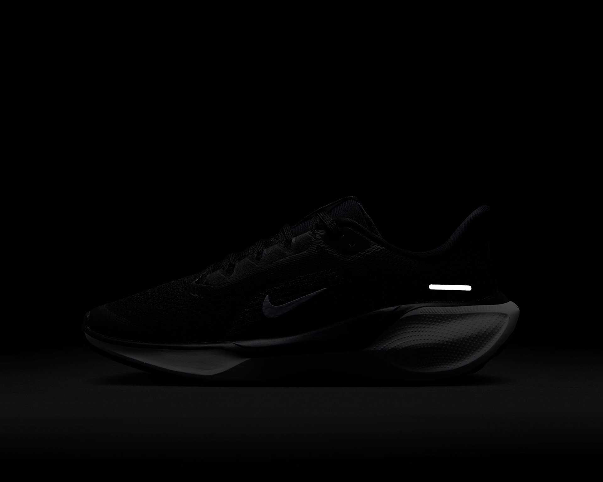 کفش دویدن Nike Pegasus 41 Gore-Tex