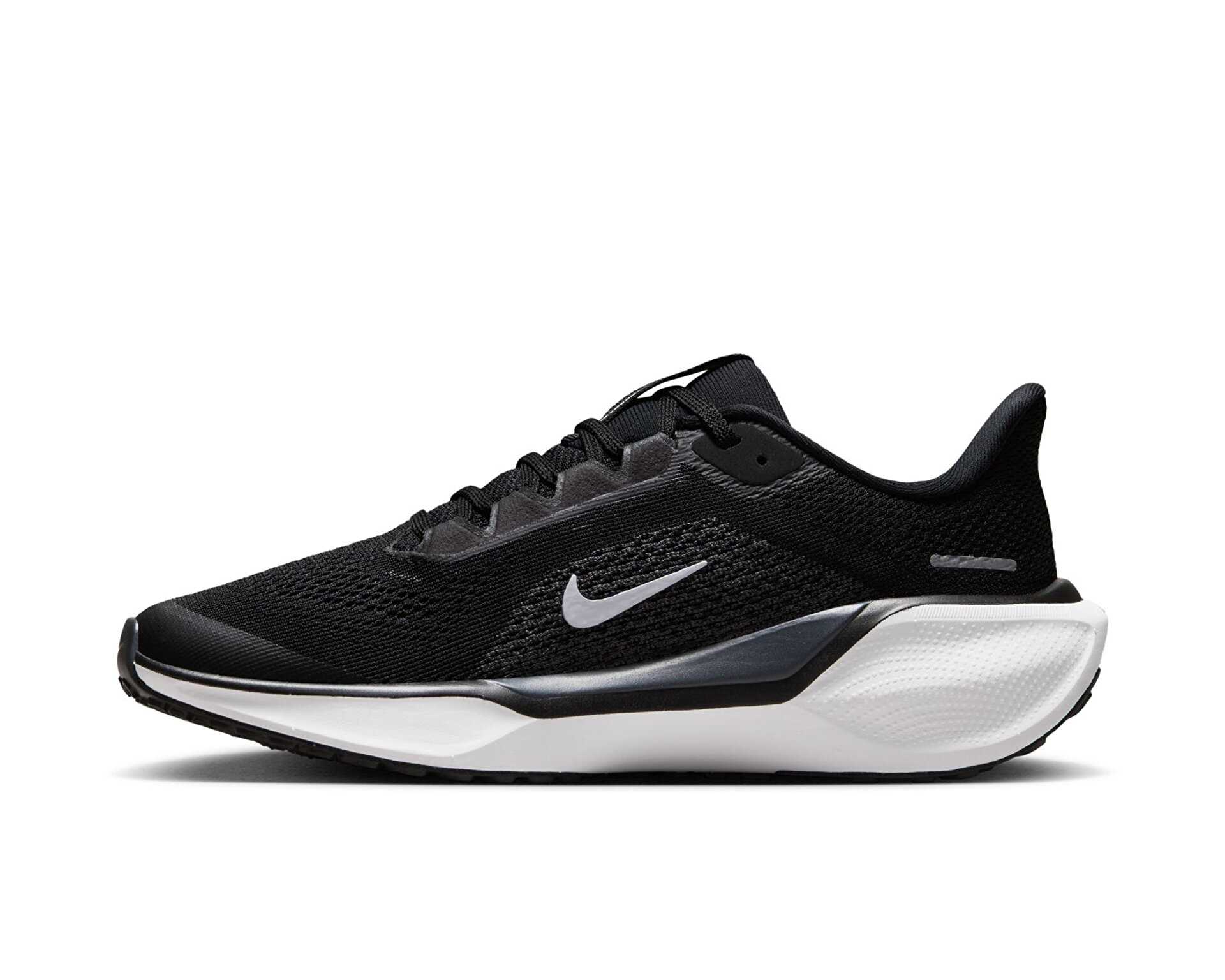 کفش دویدن Nike Pegasus 41 Gore-Tex