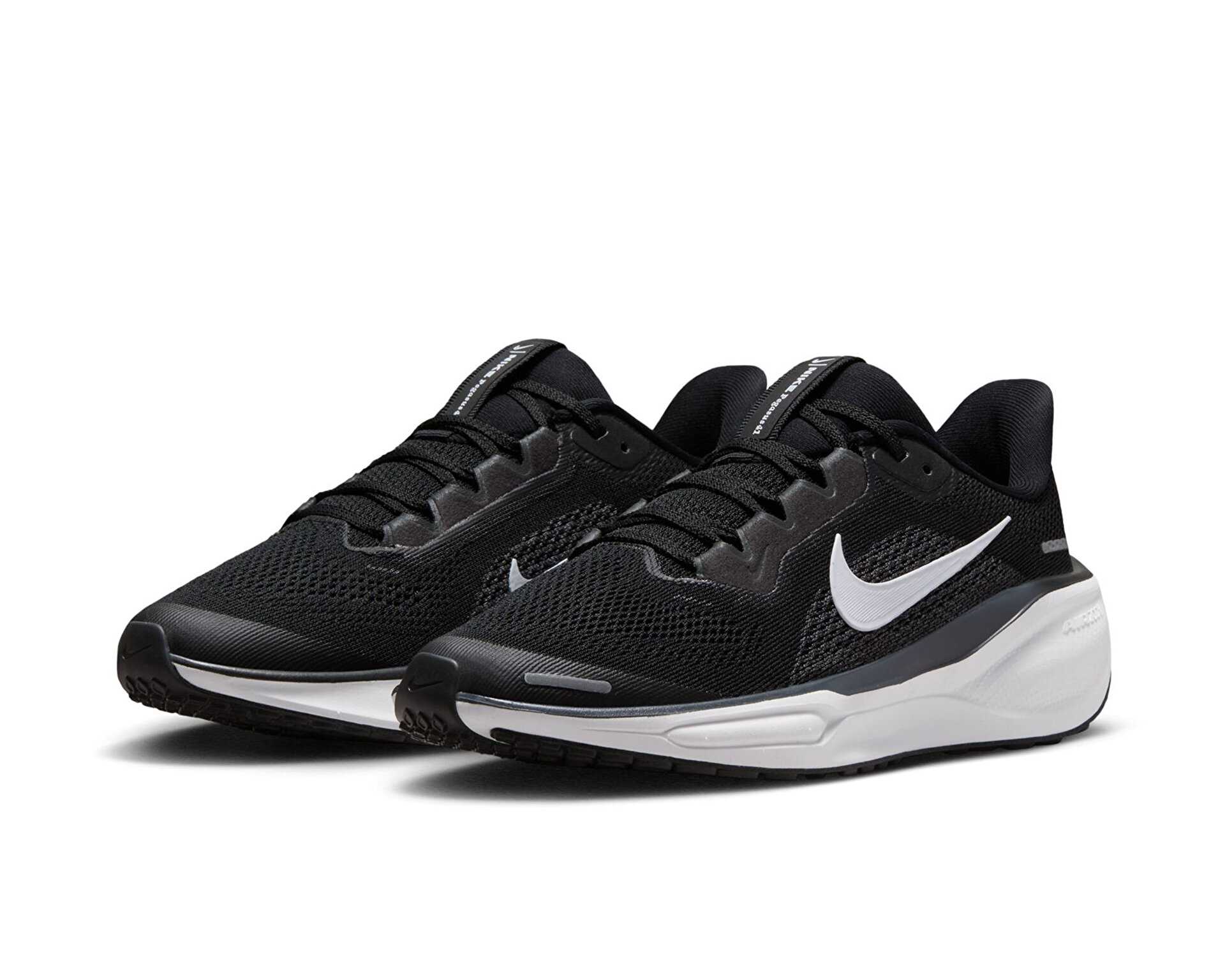 کفش دویدن Nike Pegasus 41 Gore-Tex