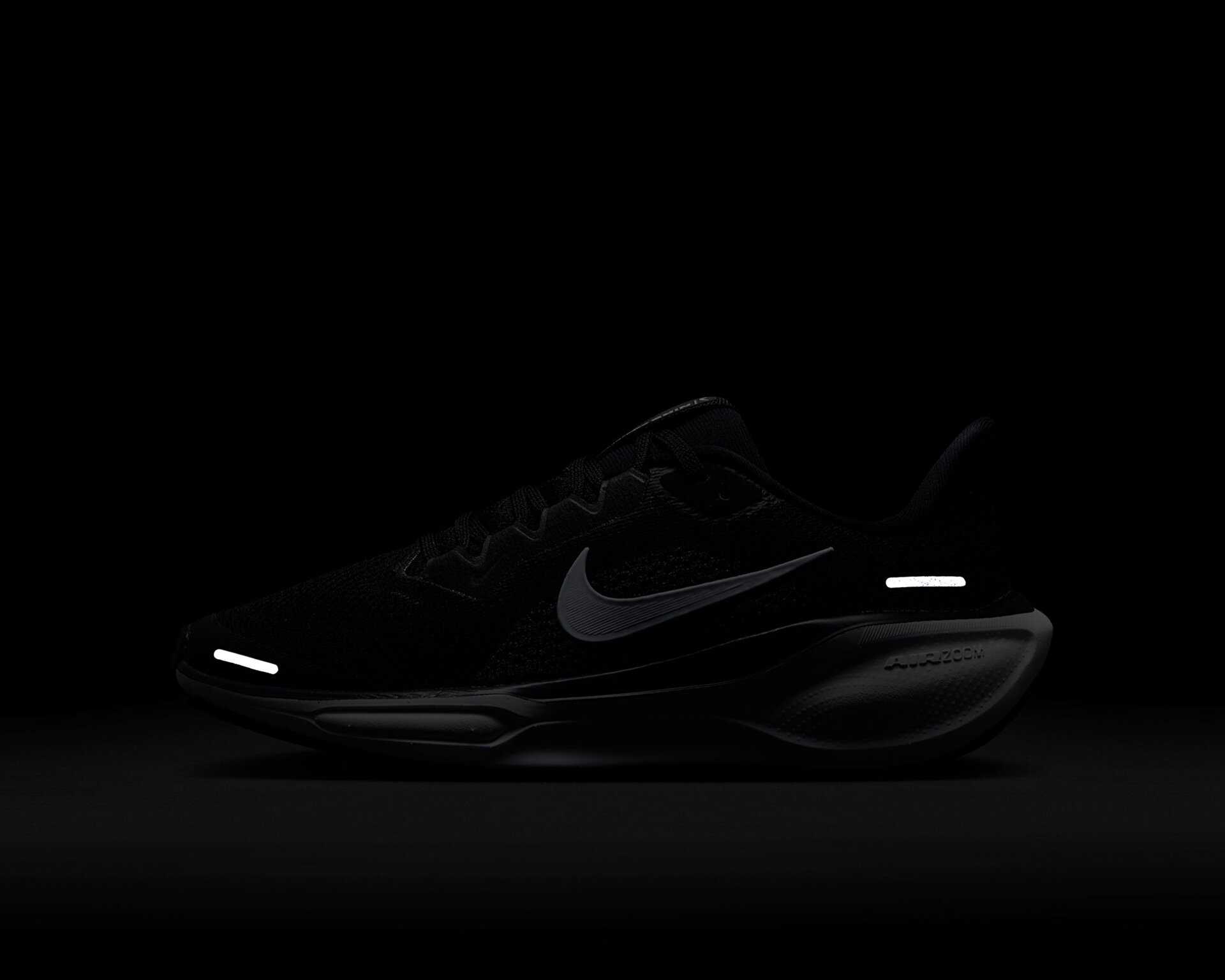 کفش دویدن Nike Pegasus 41 Gore-Tex