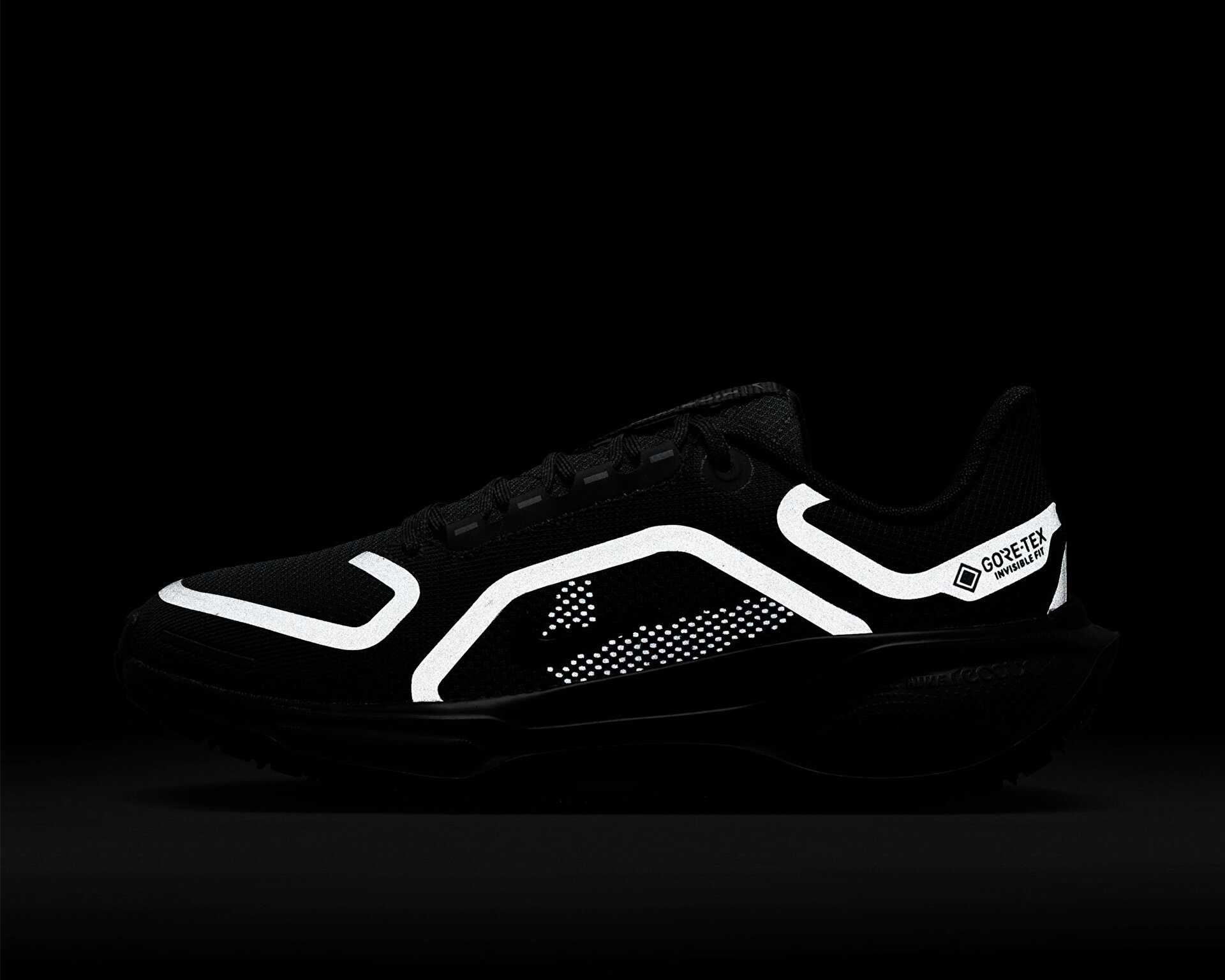 کفش دویدن Nike Pegasus 41 Gore-Tex