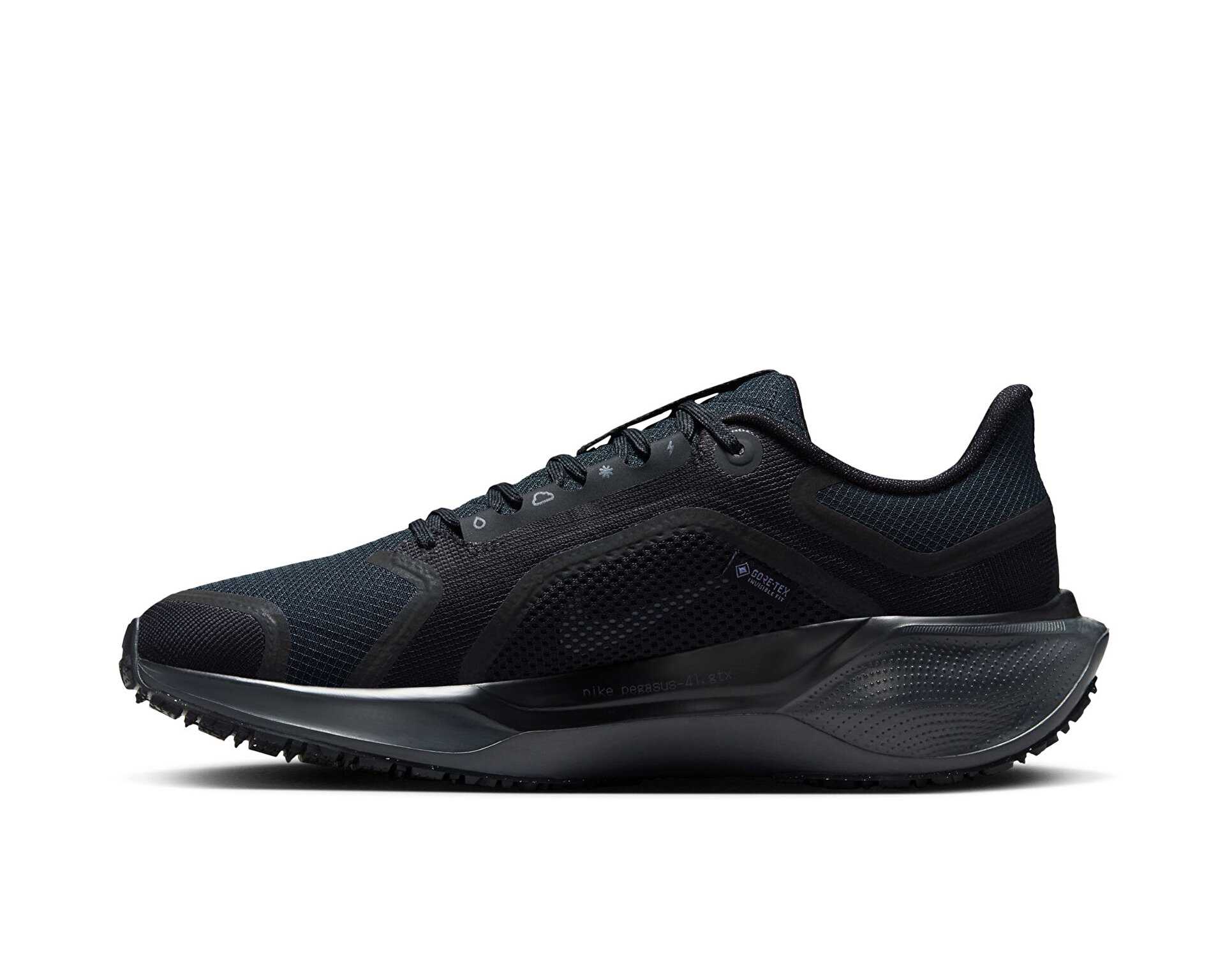 کفش دویدن Nike Pegasus 41 Gore-Tex