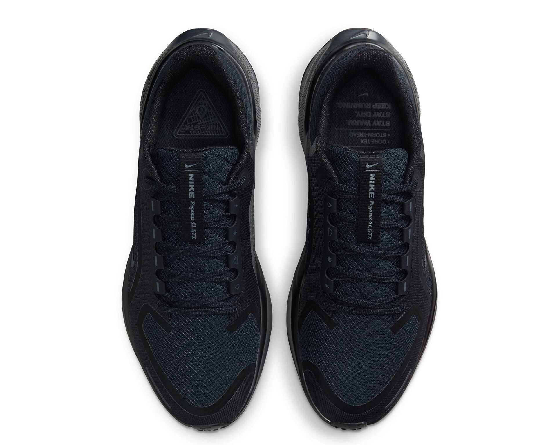 کفش دویدن Nike Pegasus 41 Gore-Tex