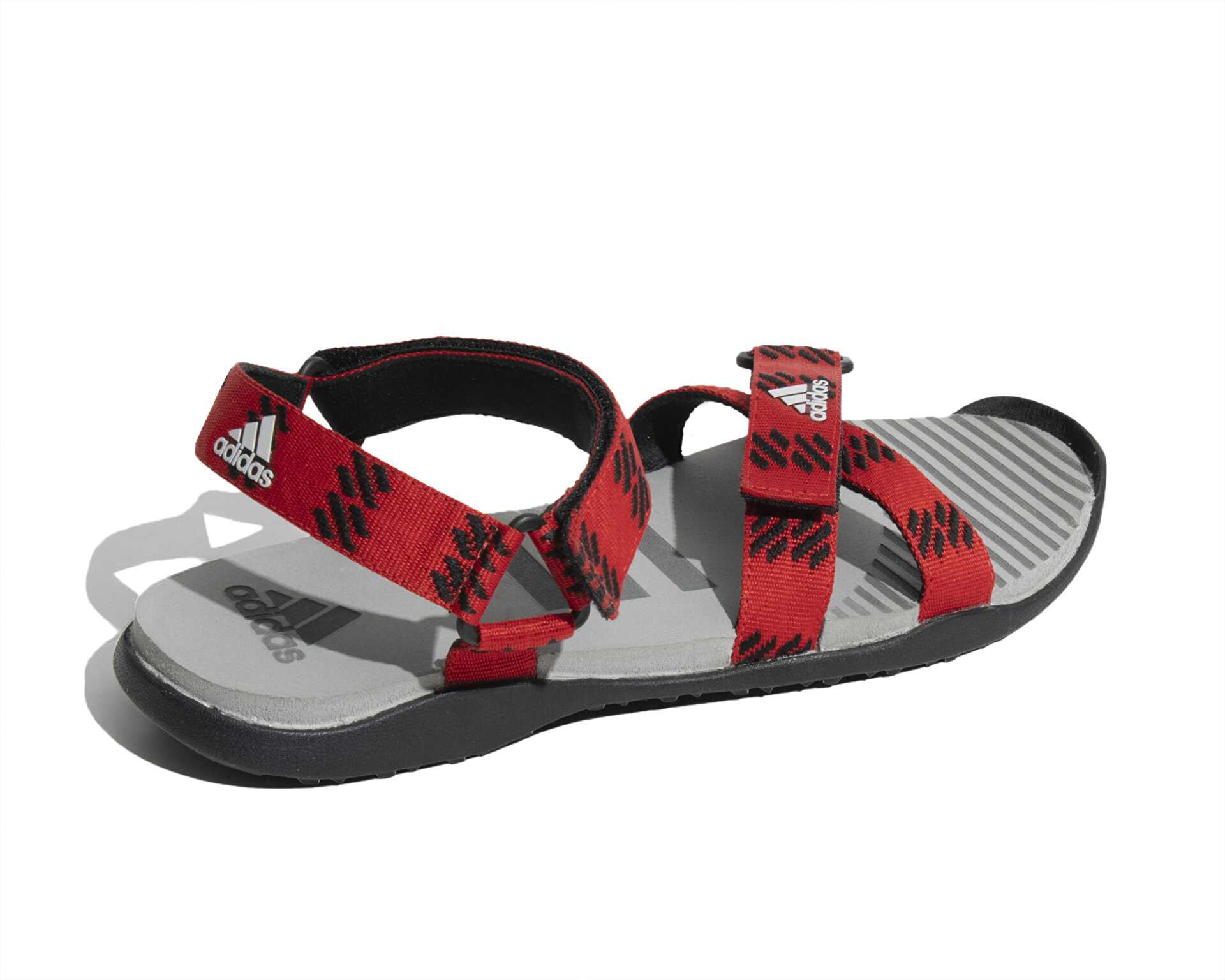 صندل معمولی Moary