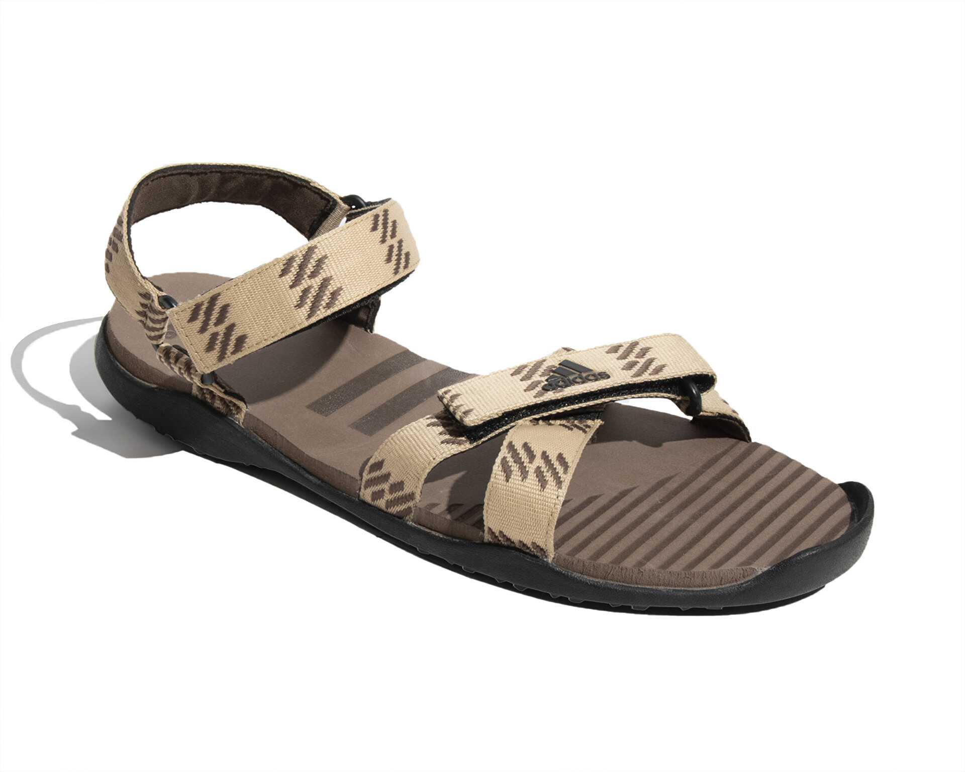 صندل معمولی Moary